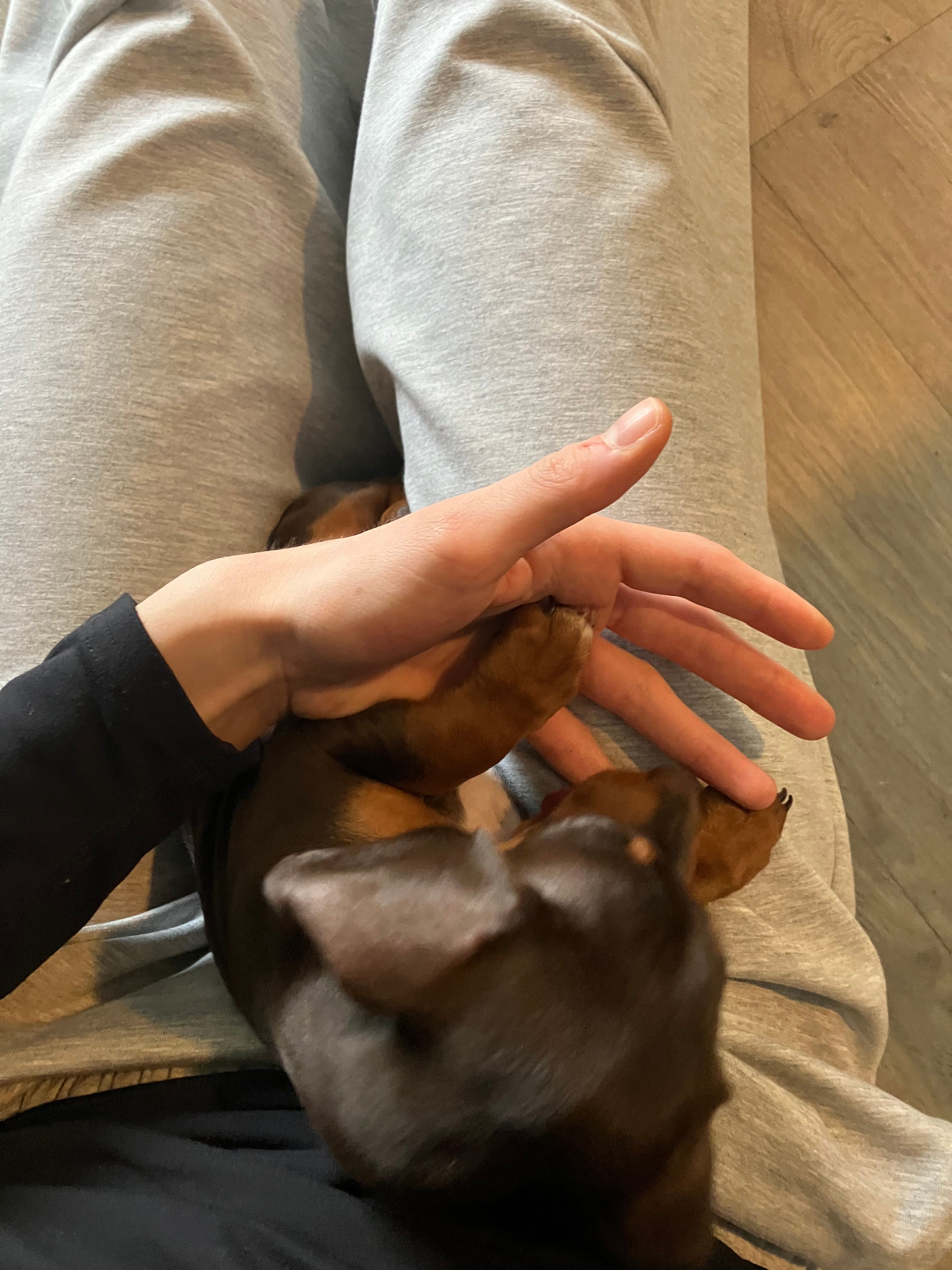 image-8