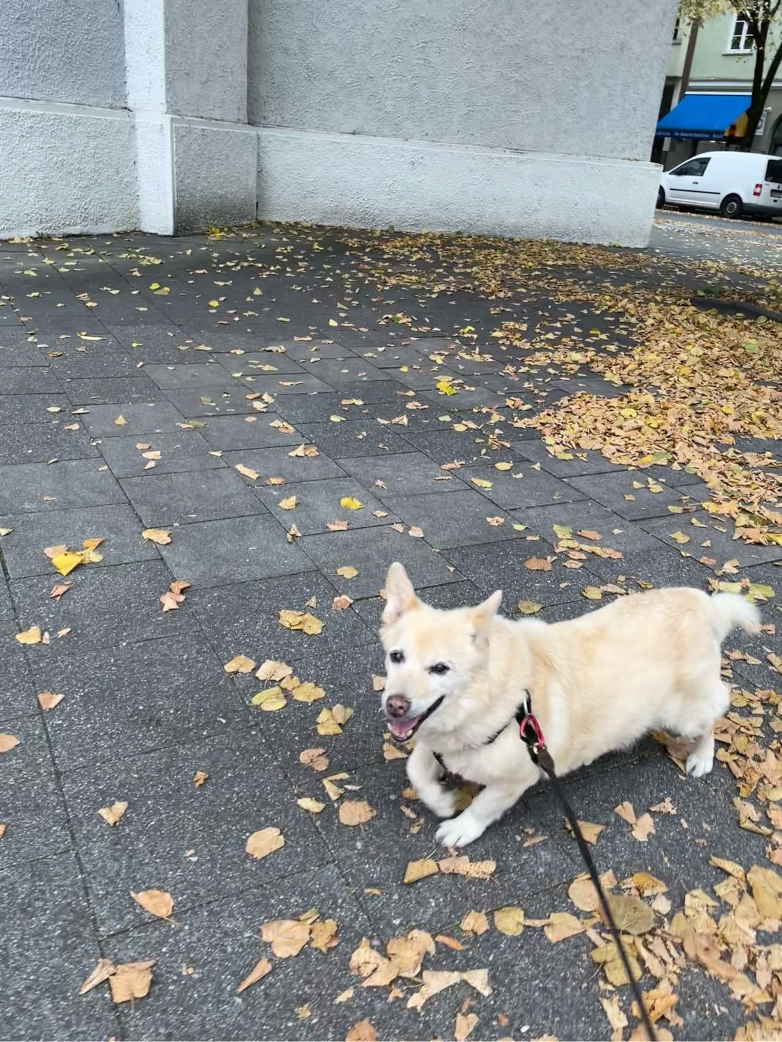 image-27