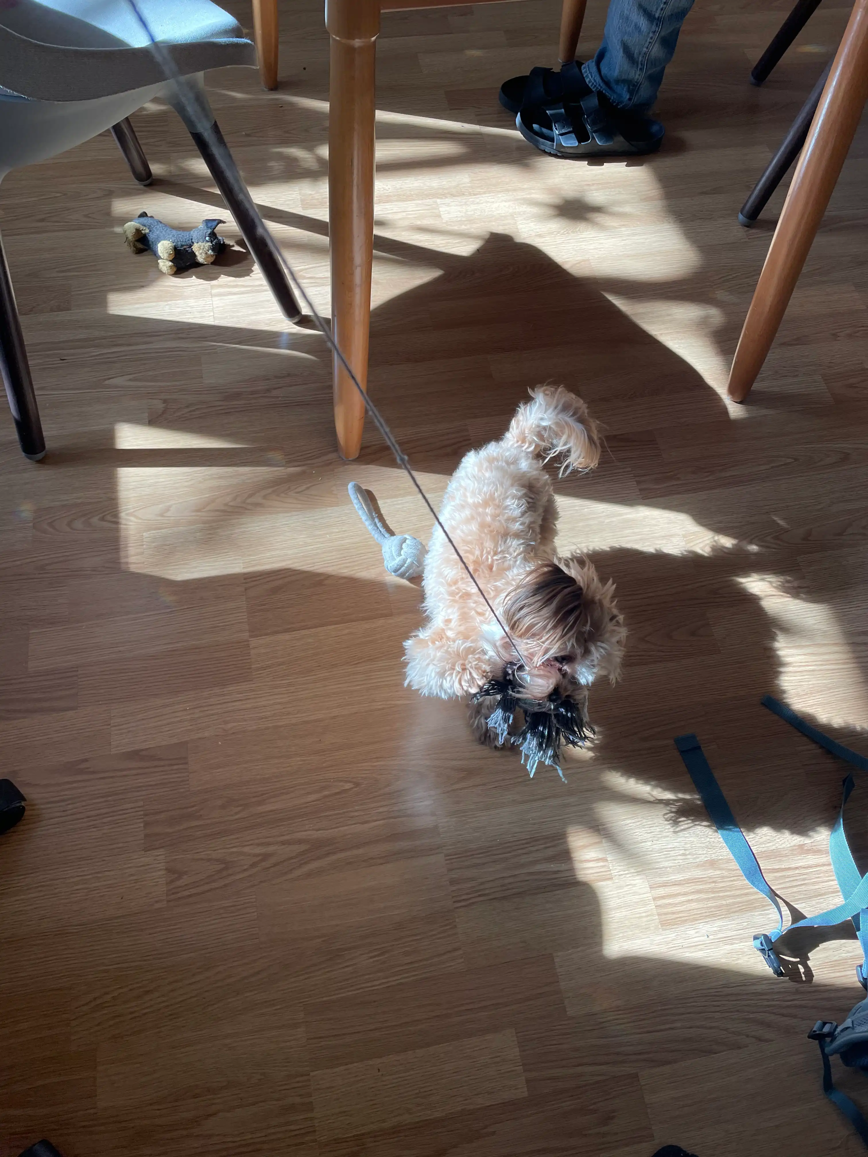 image-34