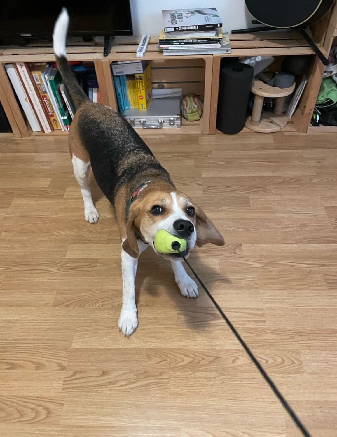 image-6