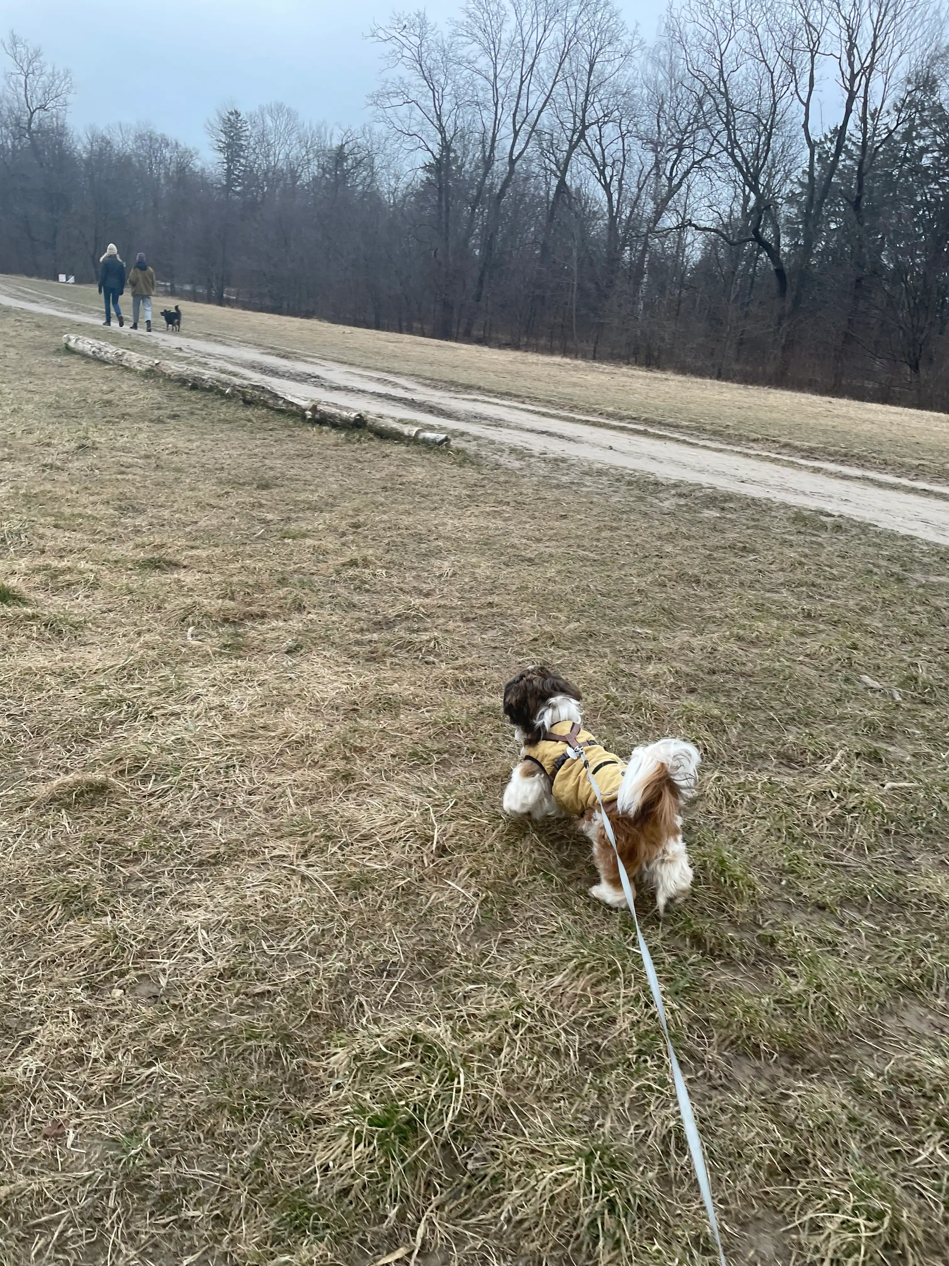 image-37