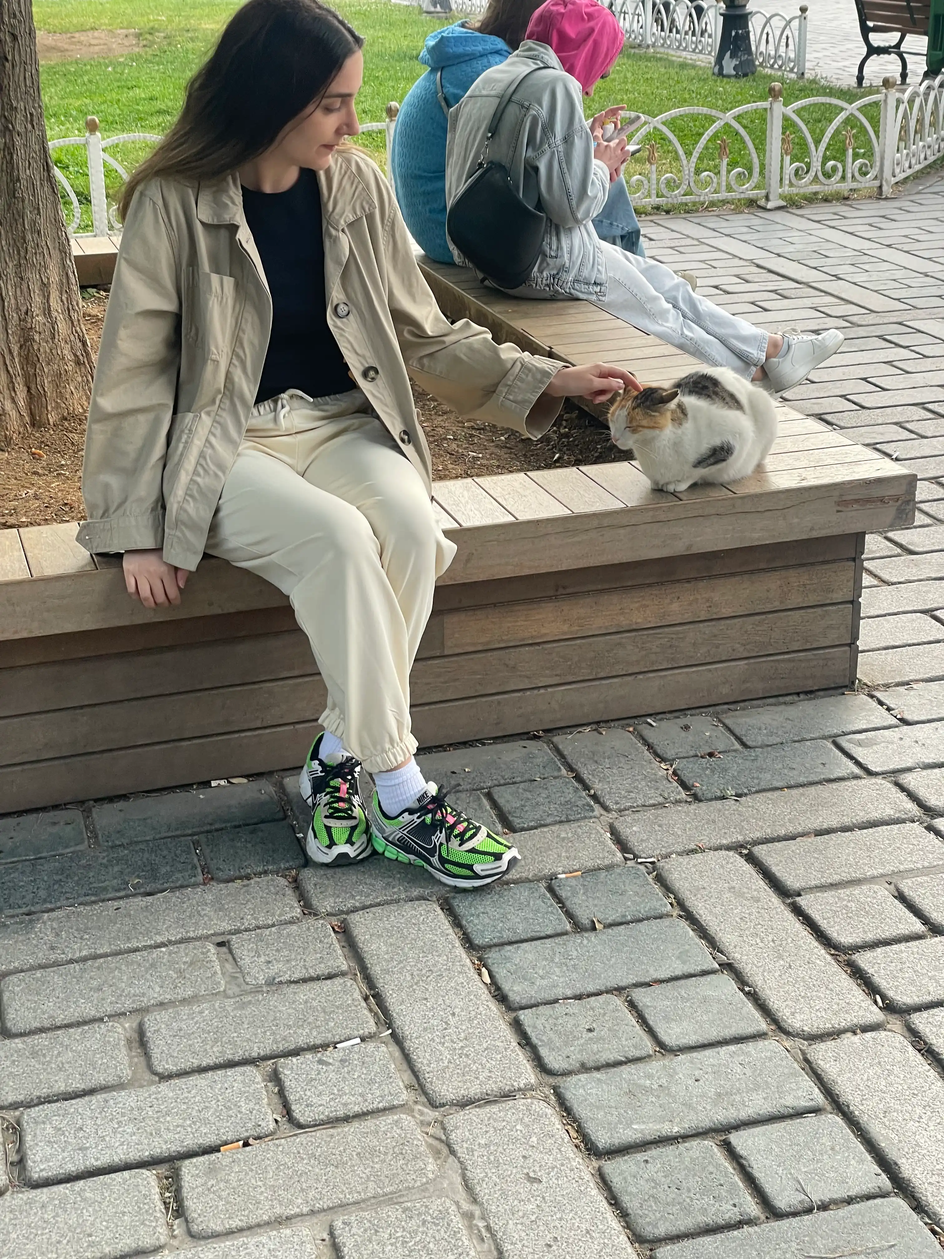 image-7