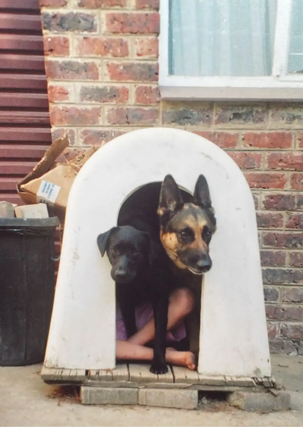 image-7