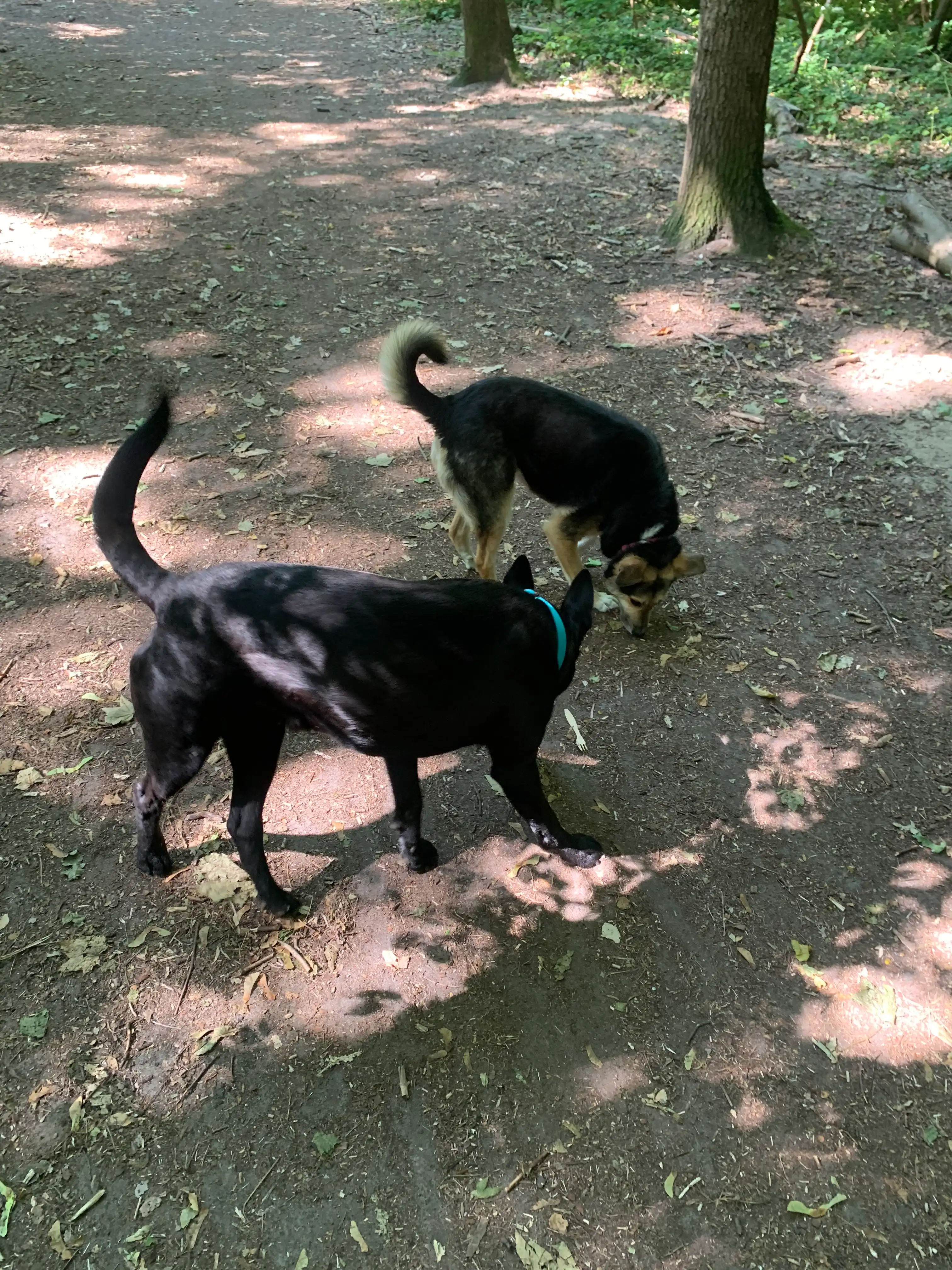 image-12