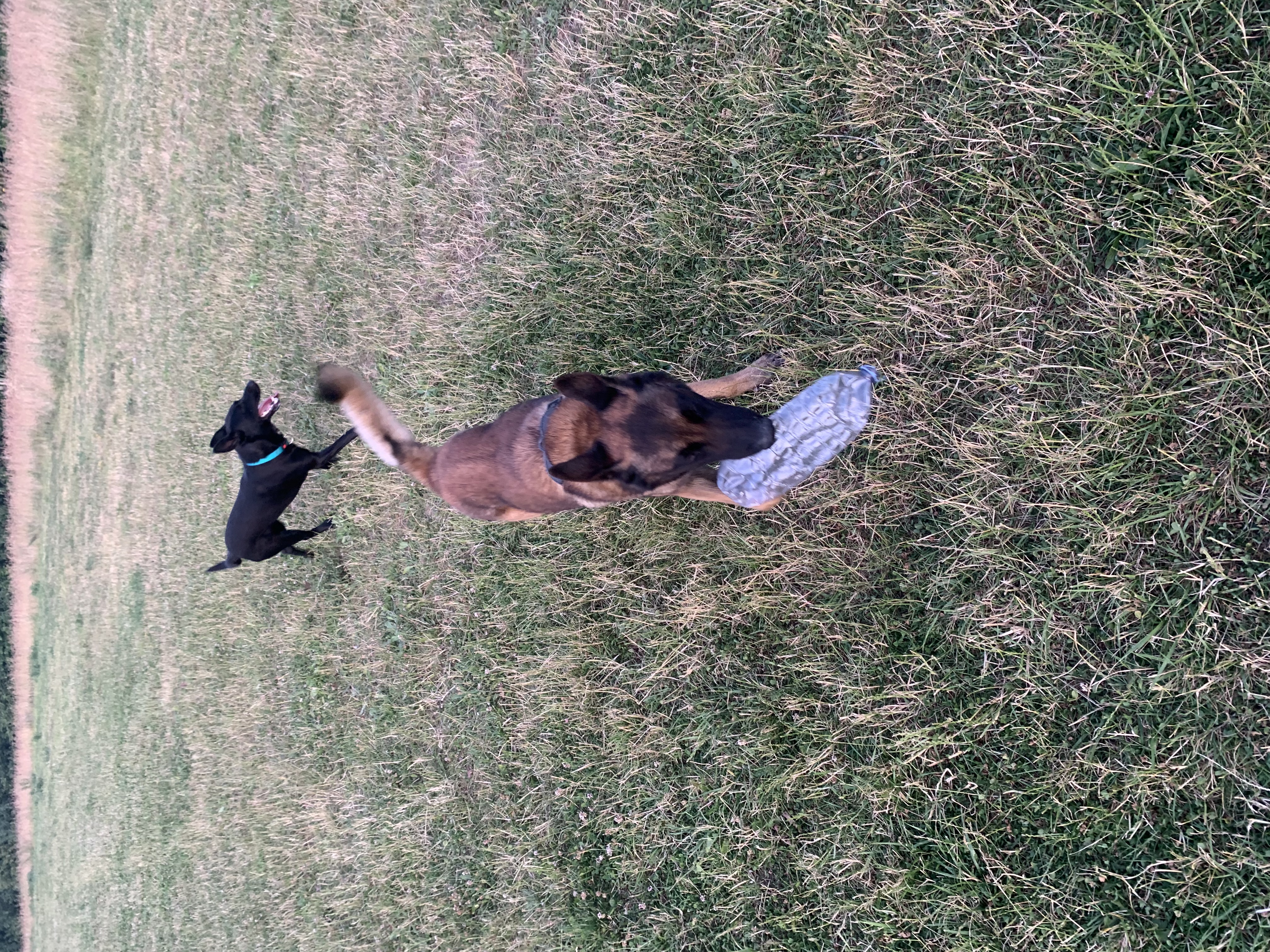 image-8