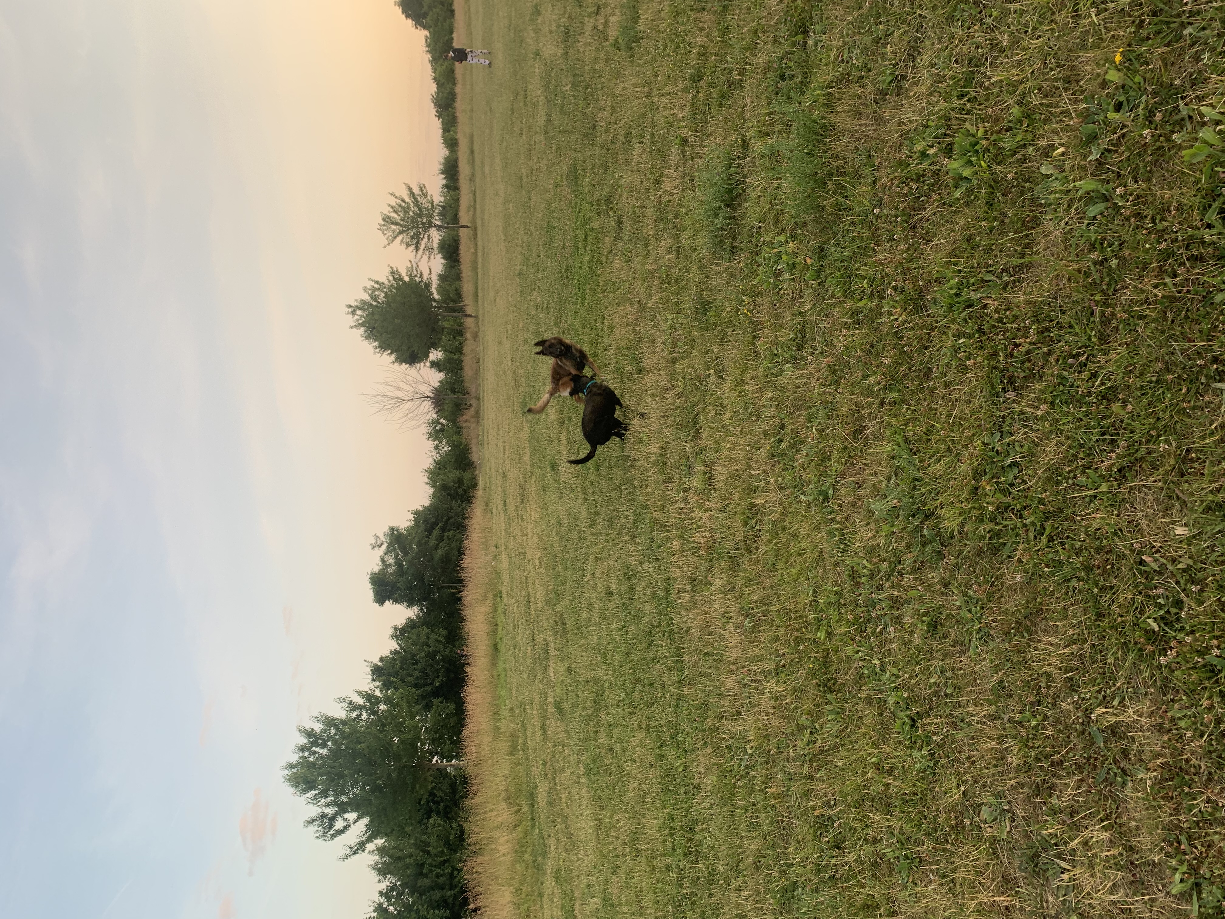 image-10