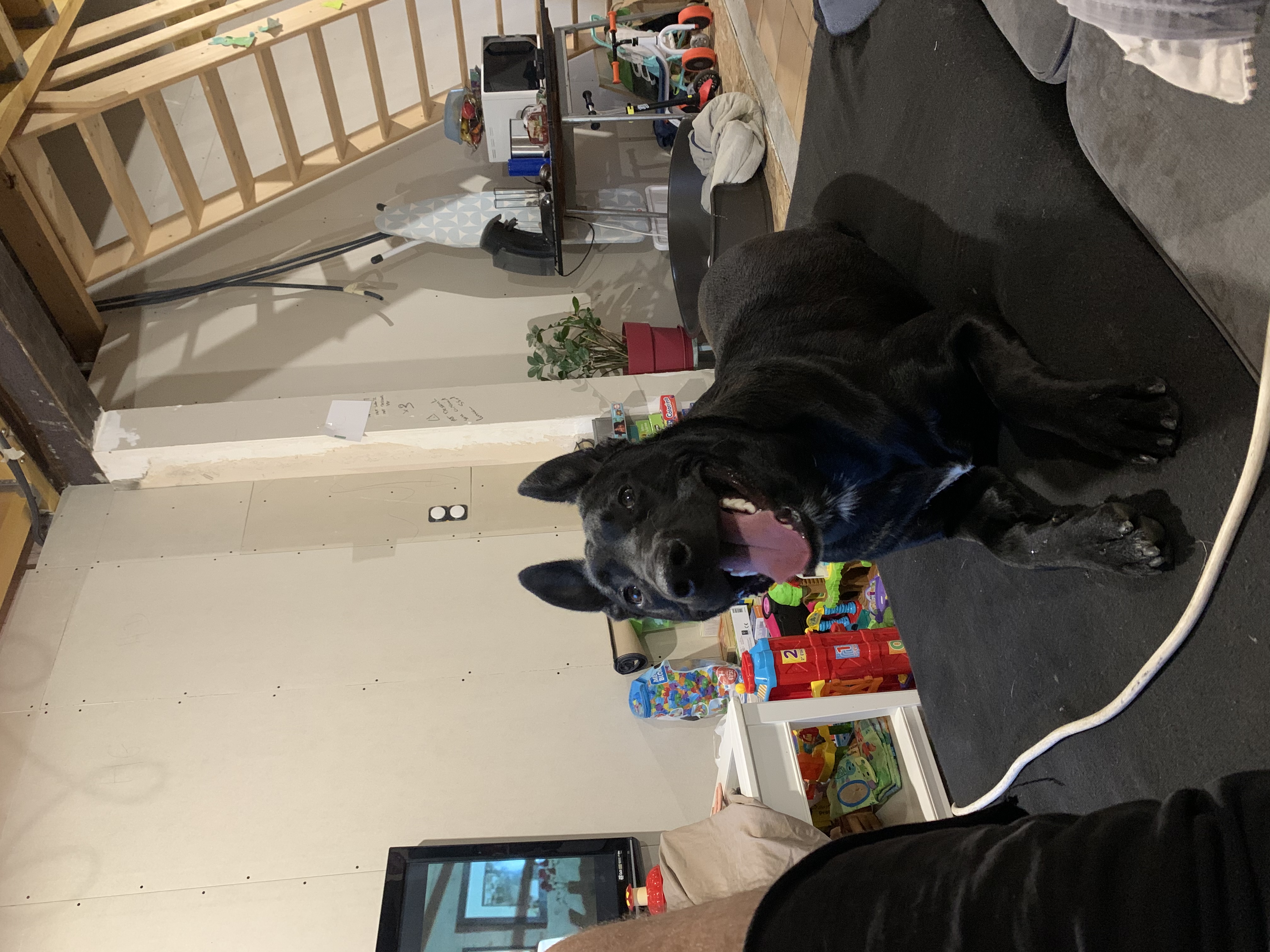 image-19