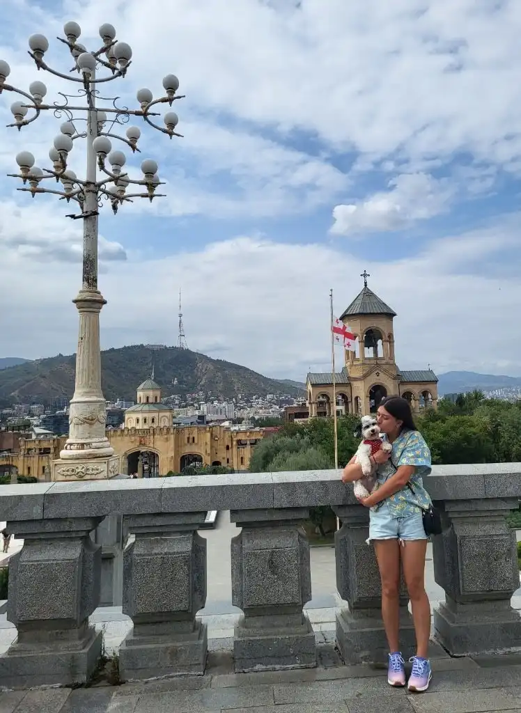 image-8