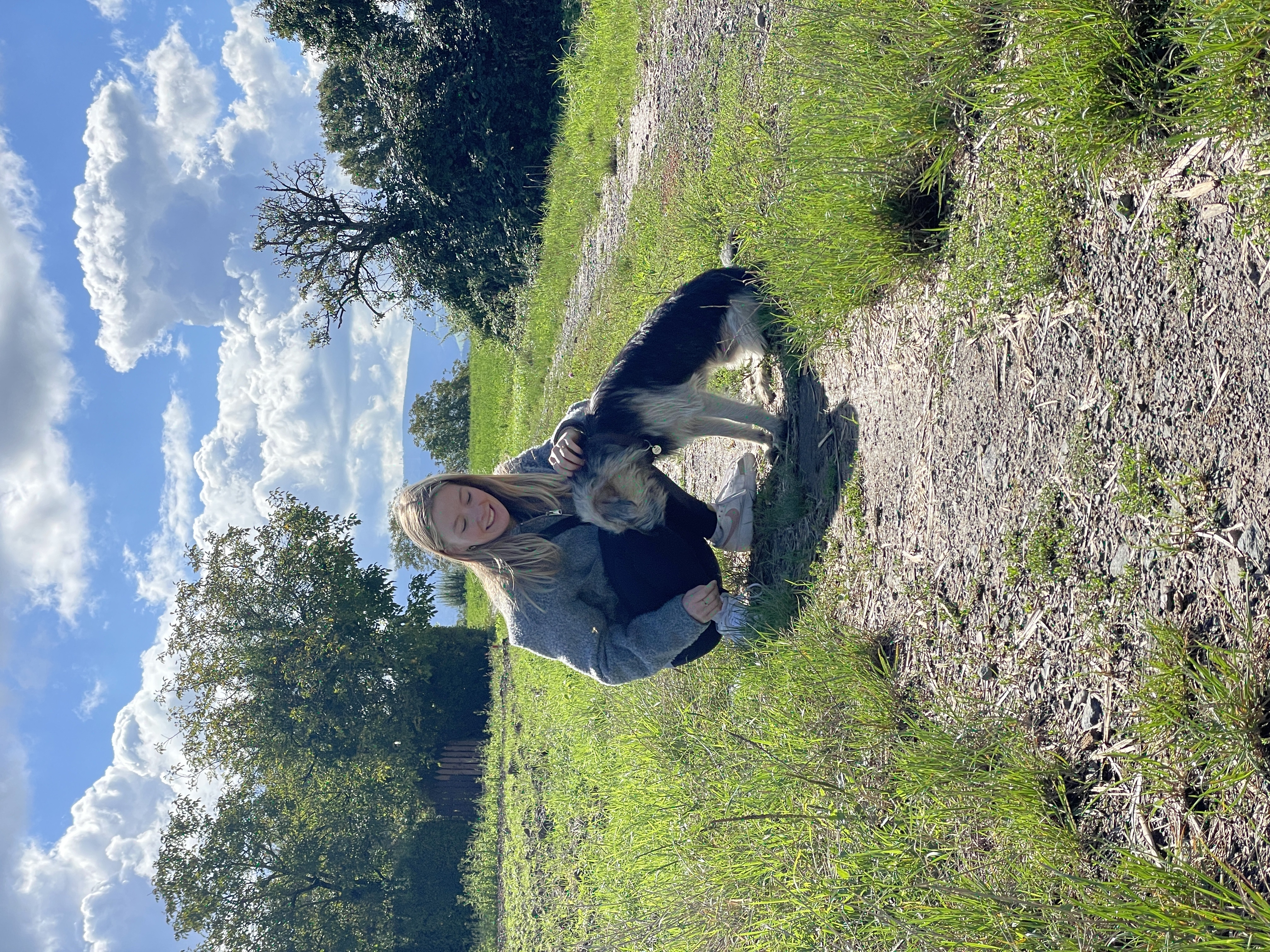image-0