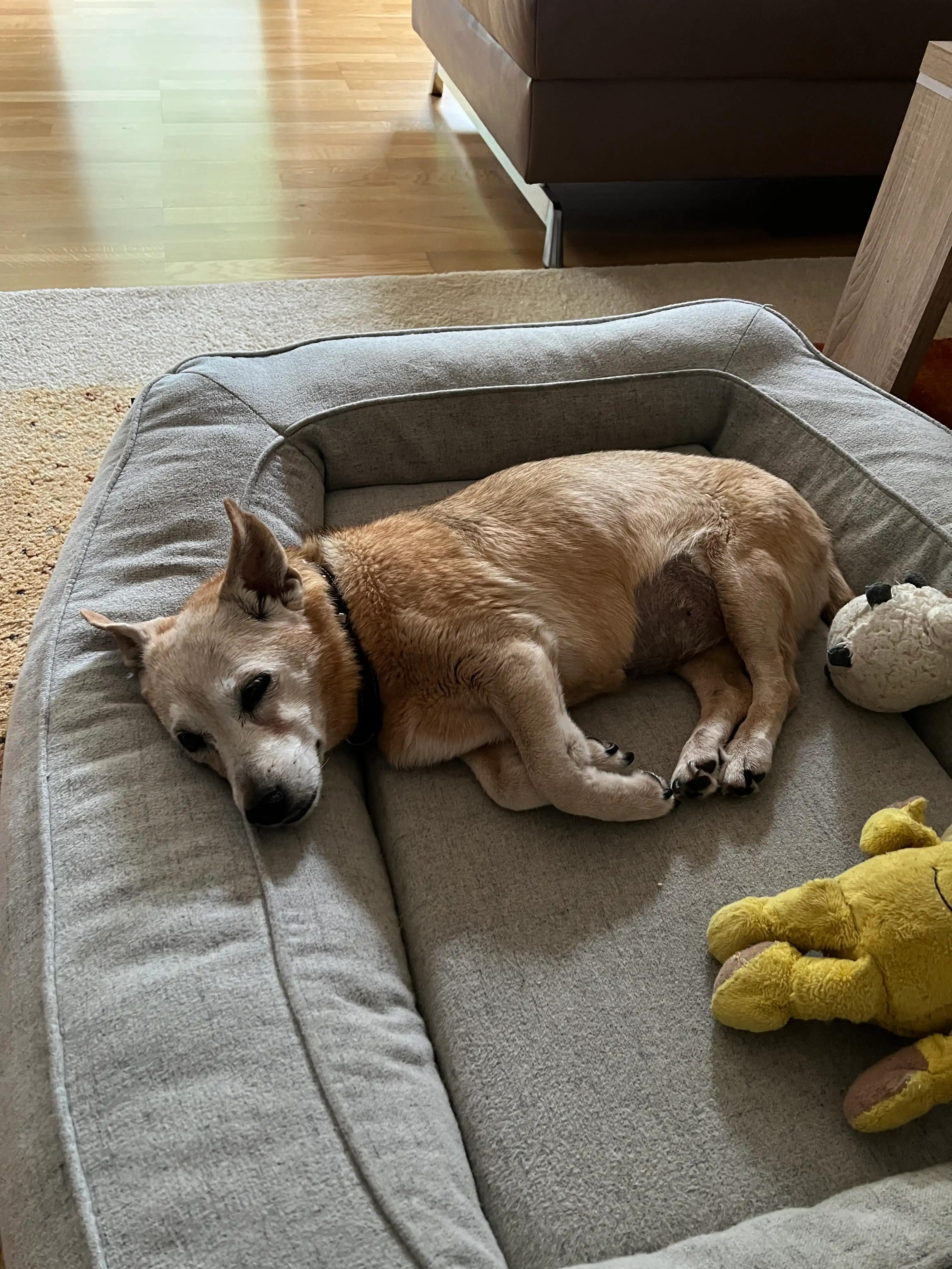 image-16