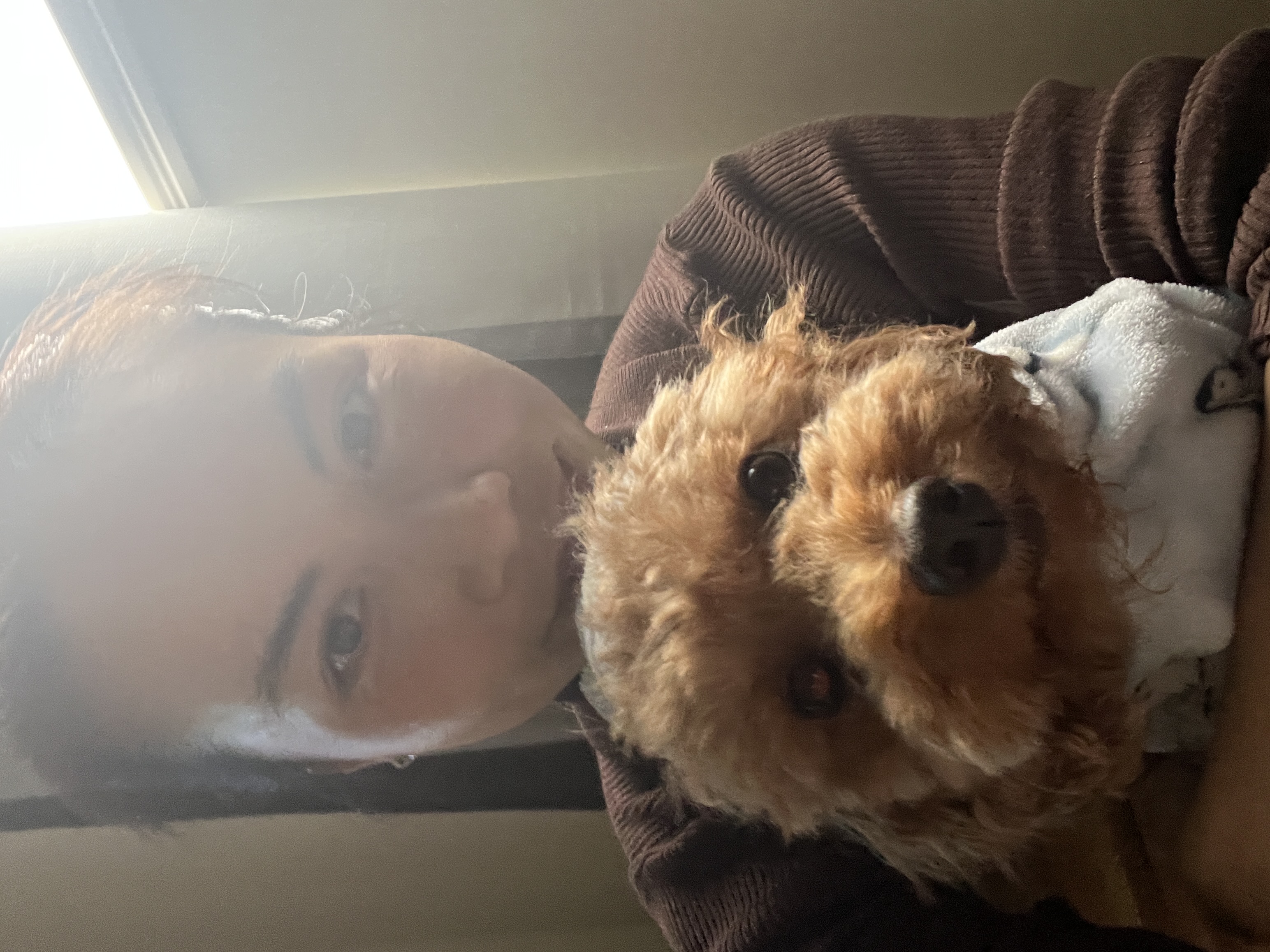 image-6