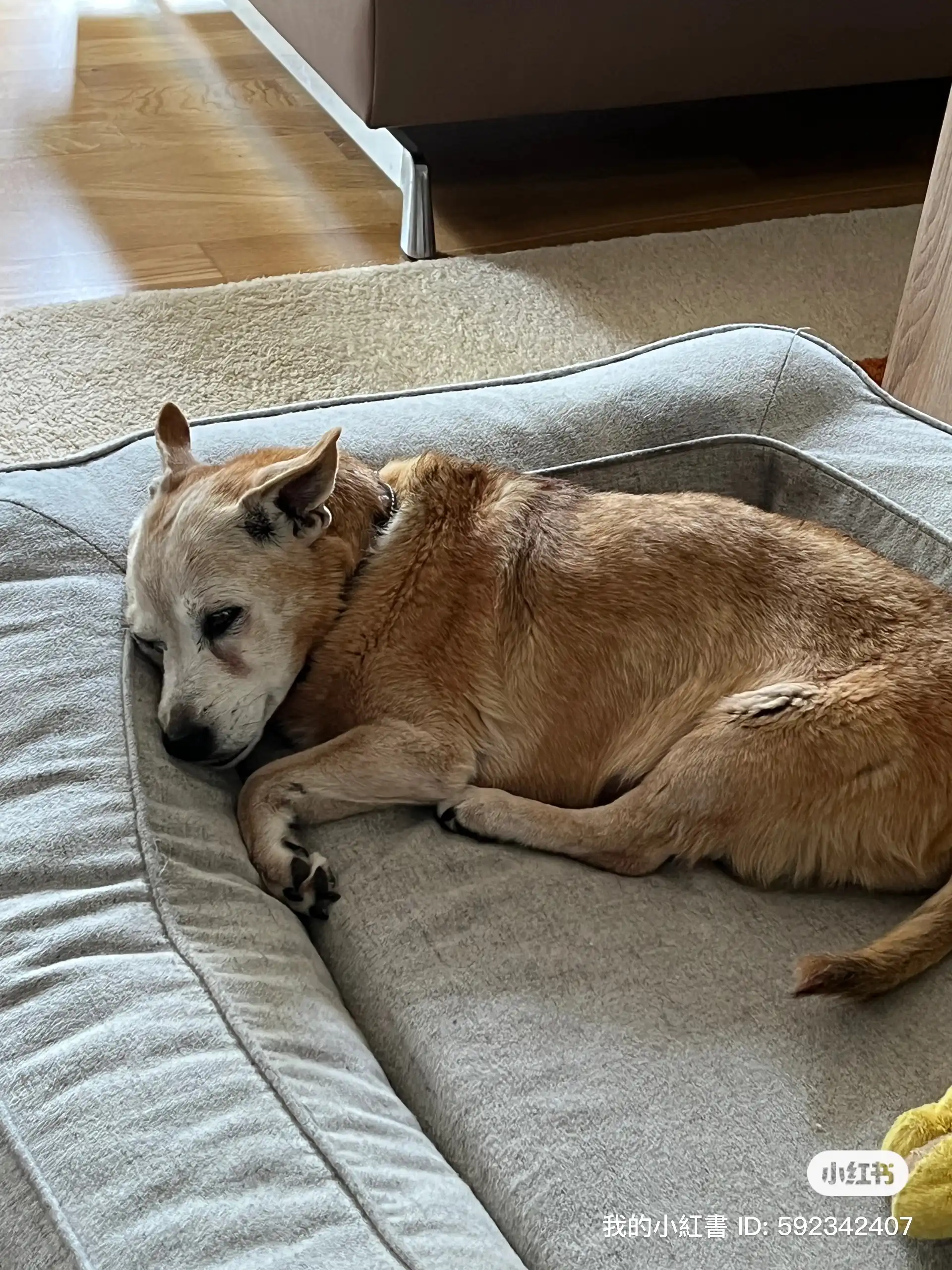 image-17