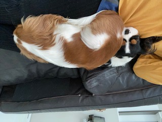 image-6