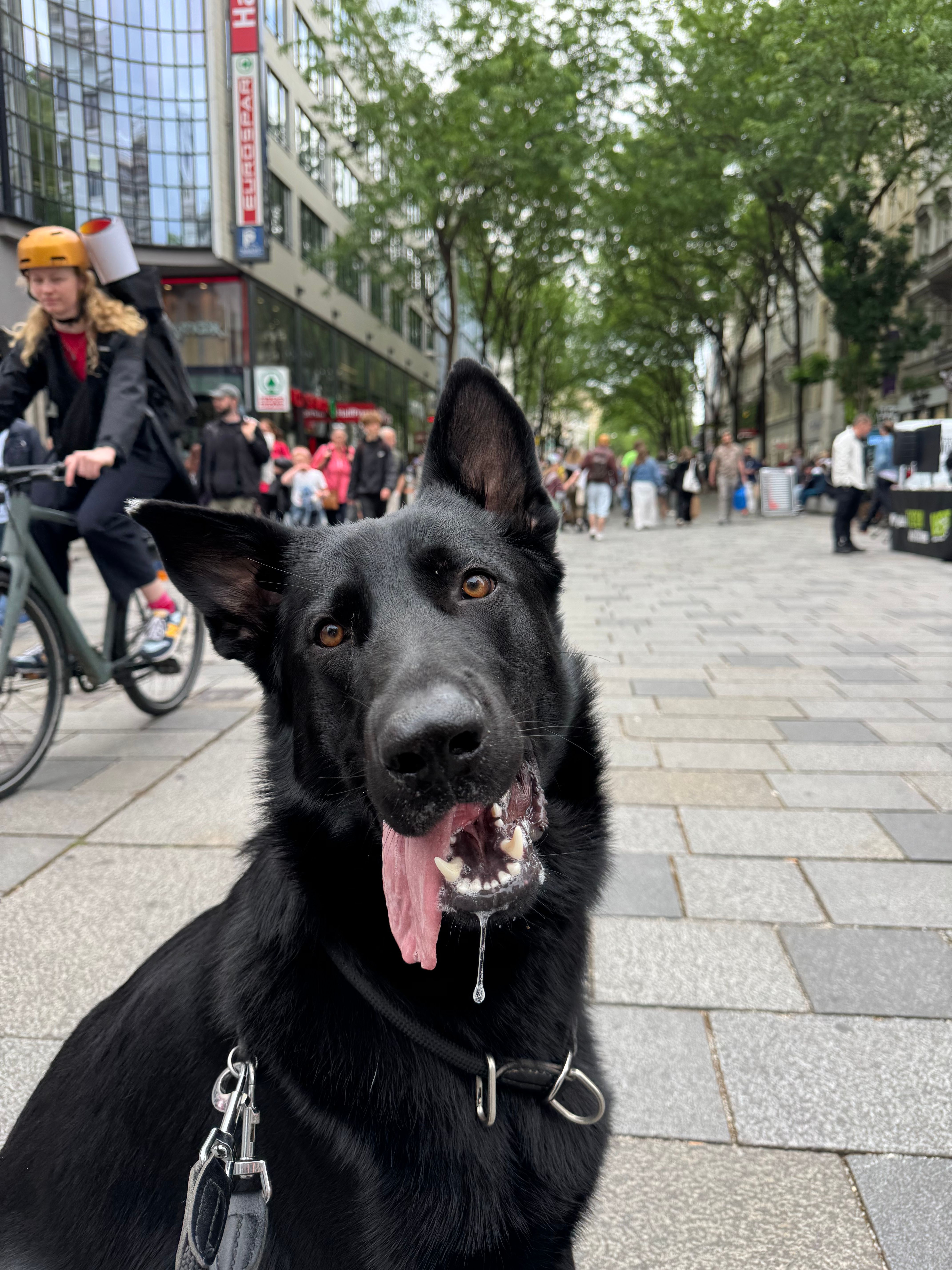 image-20