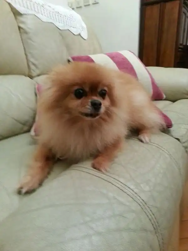 image-7