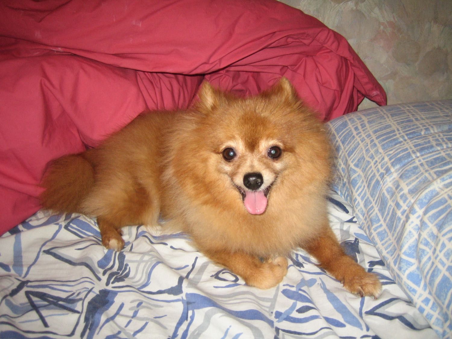 image-8