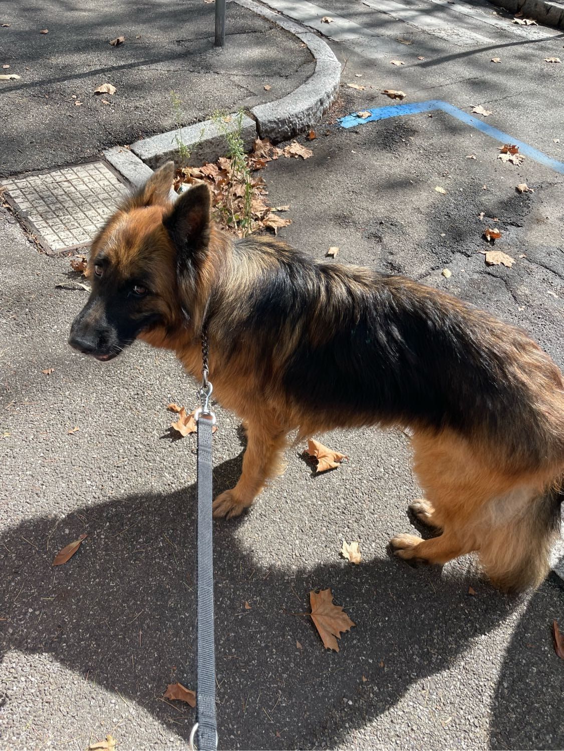 image-19