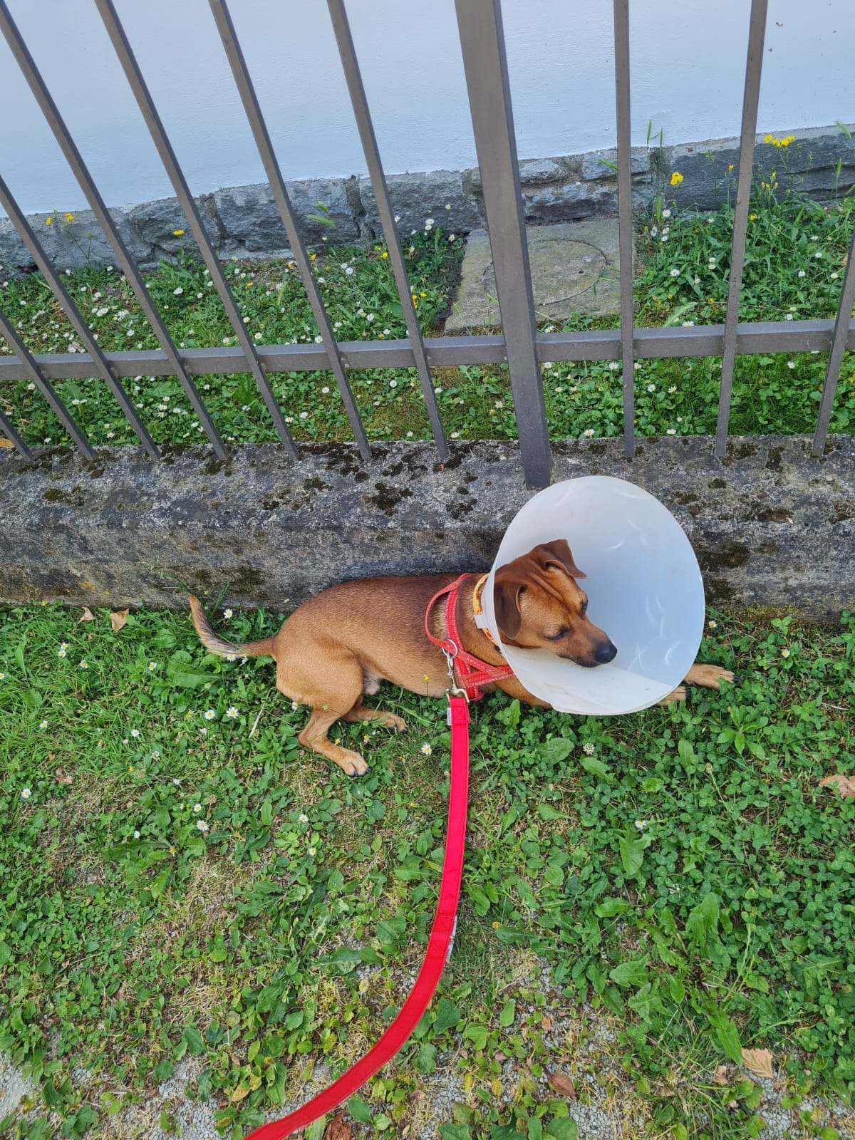 image-7