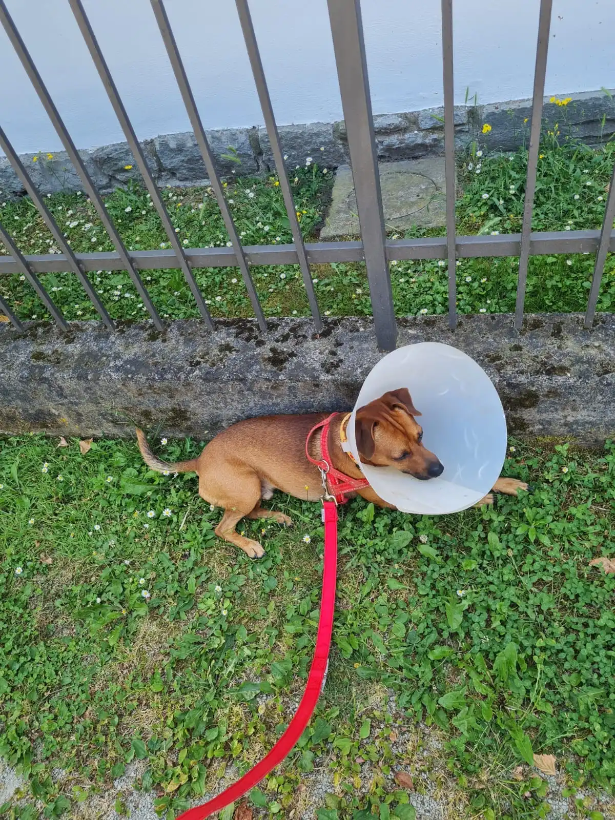 image-7