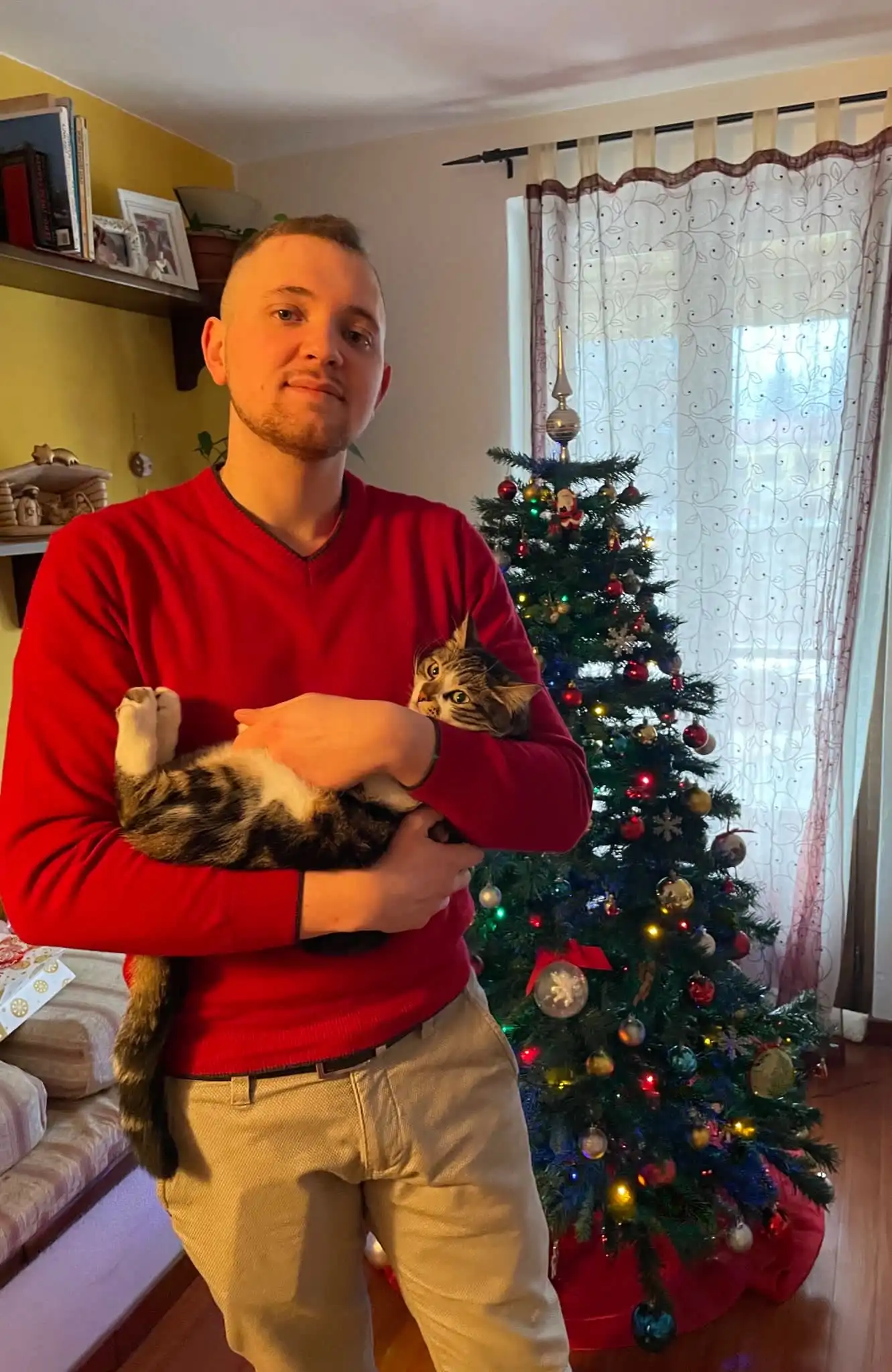 image-6