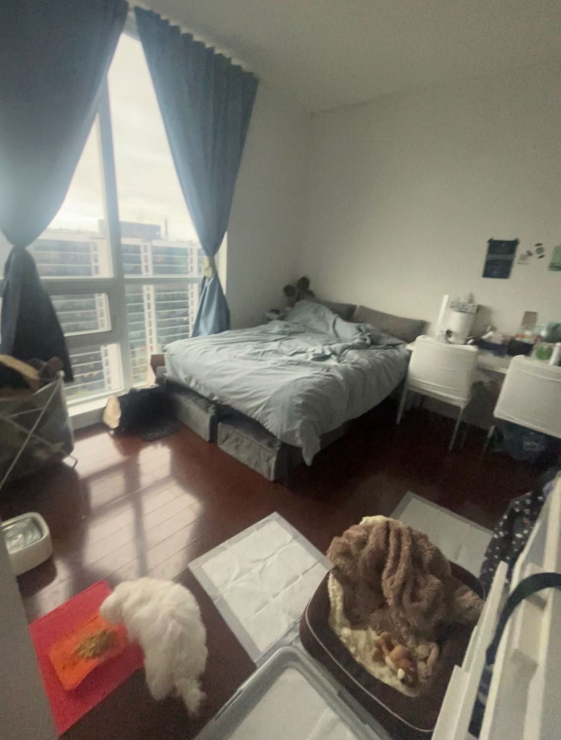 image-16