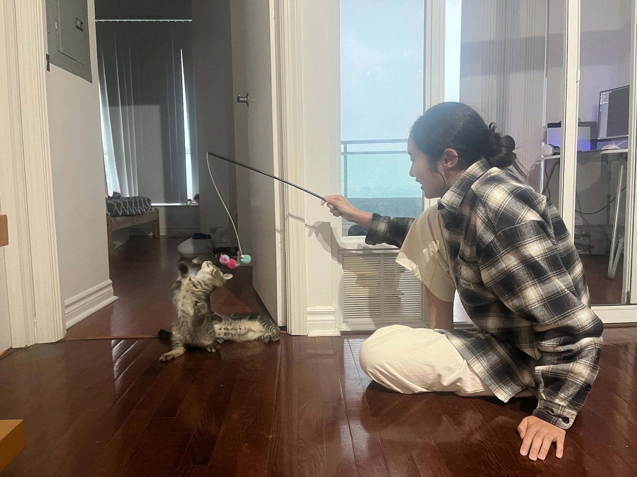 image-7