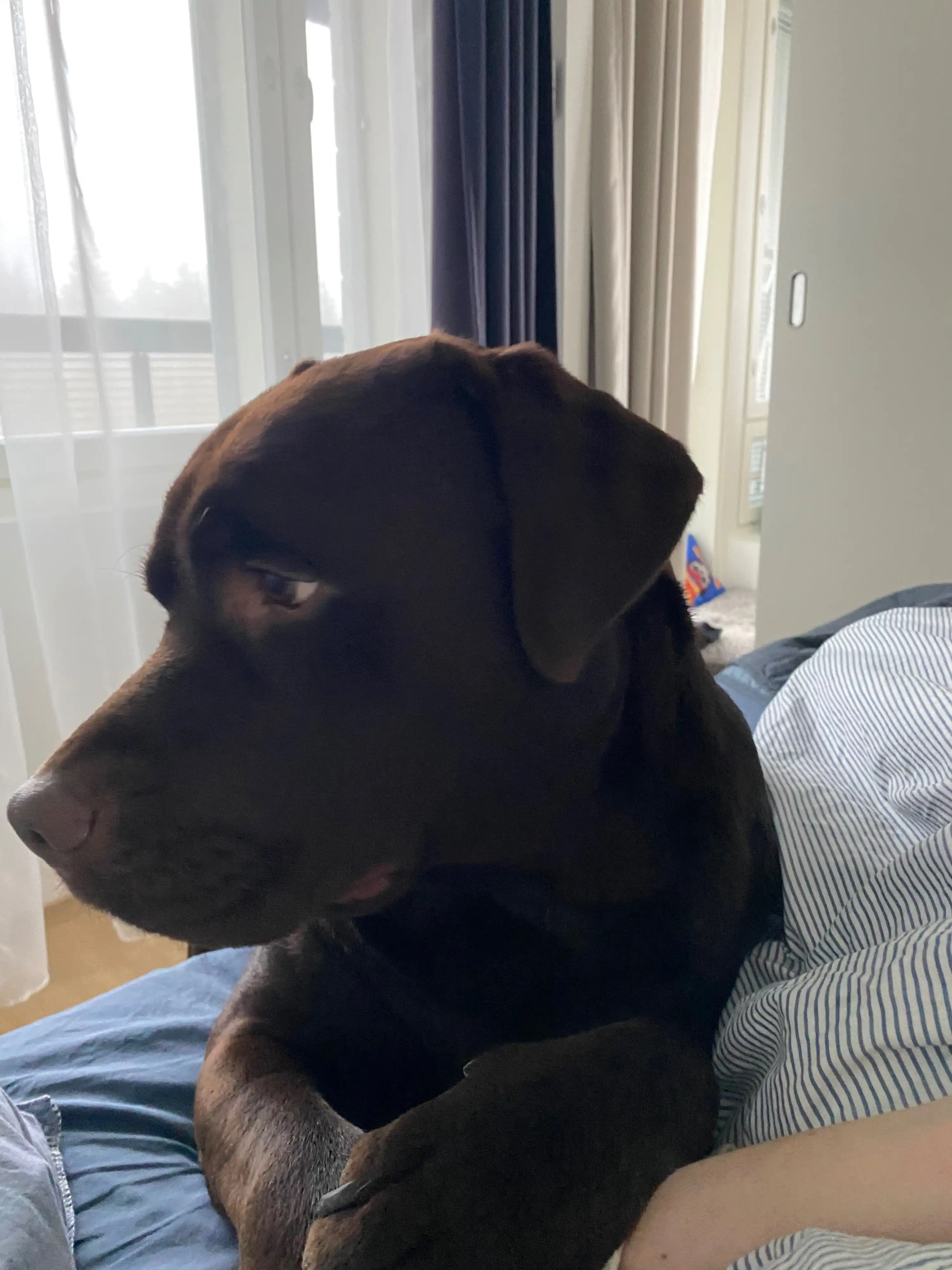 image-28