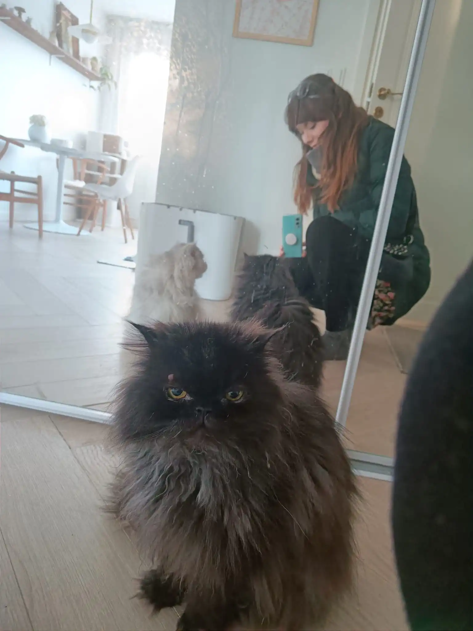 image-8