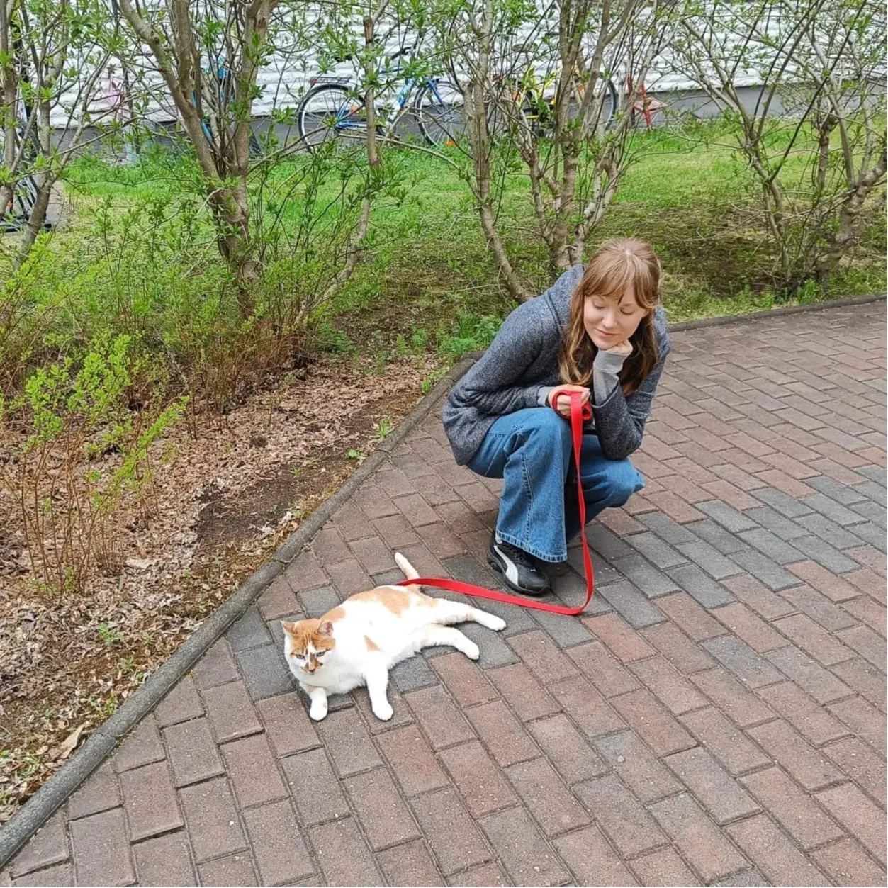image-0