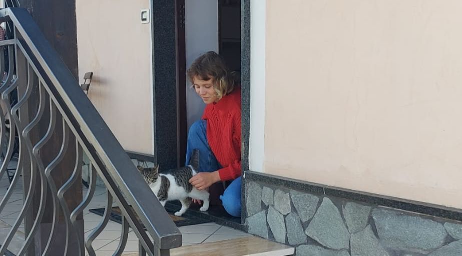image-6