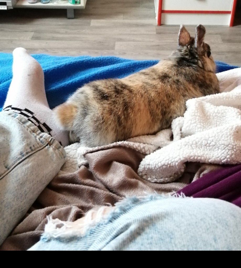 image-10