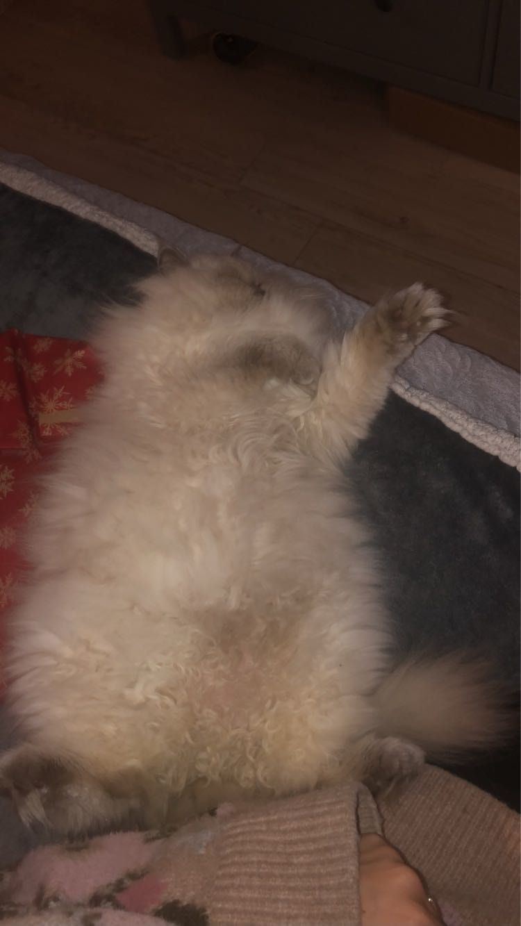 image-8