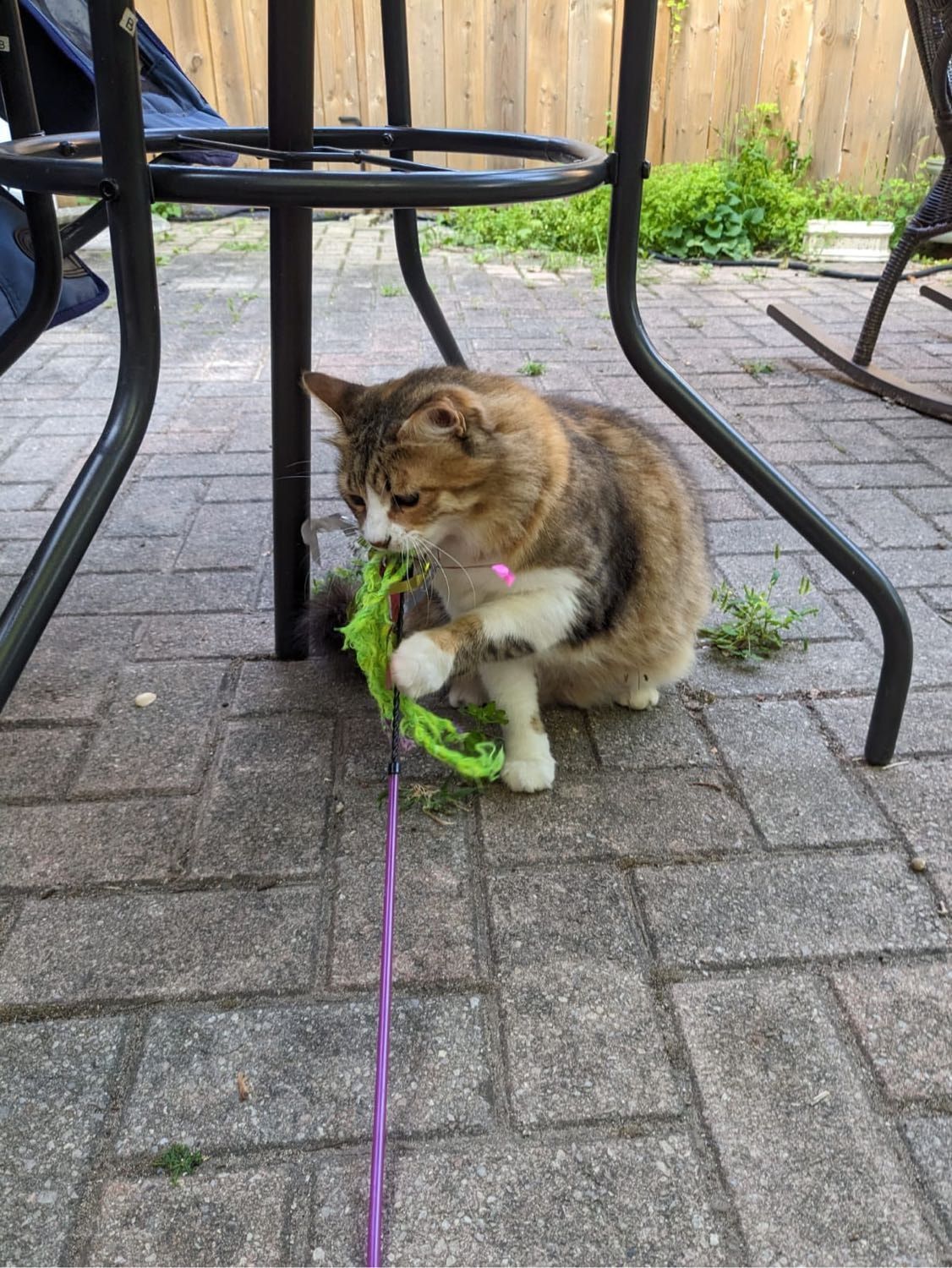 image-6