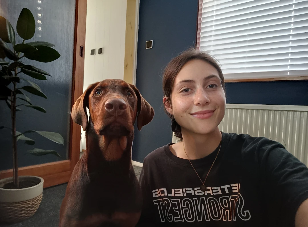 image-1