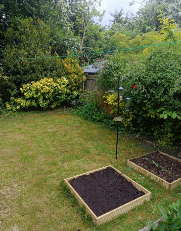 image-20