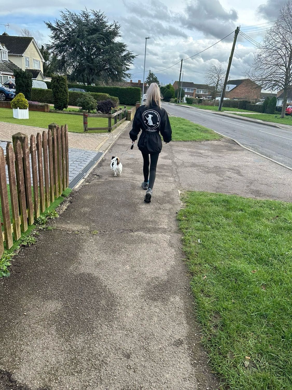 image-15