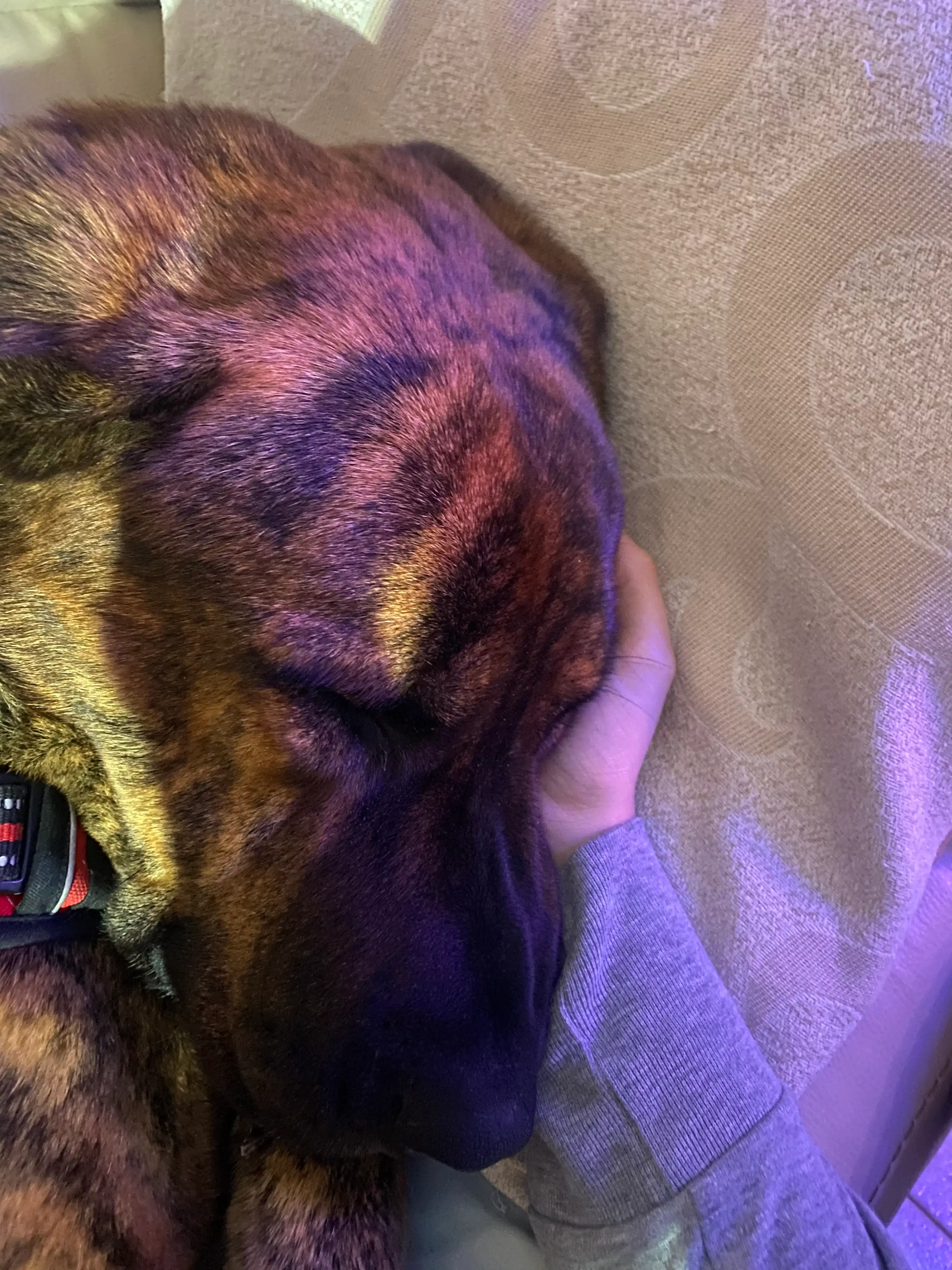 image-6