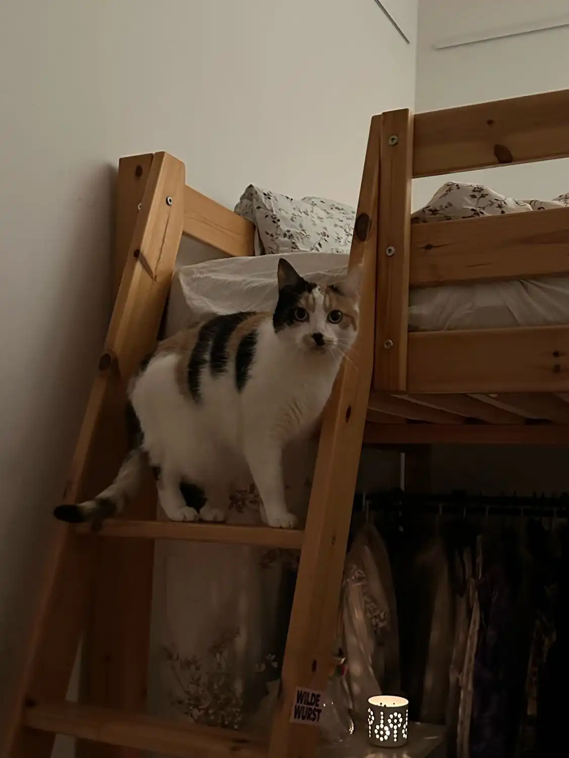 image-5