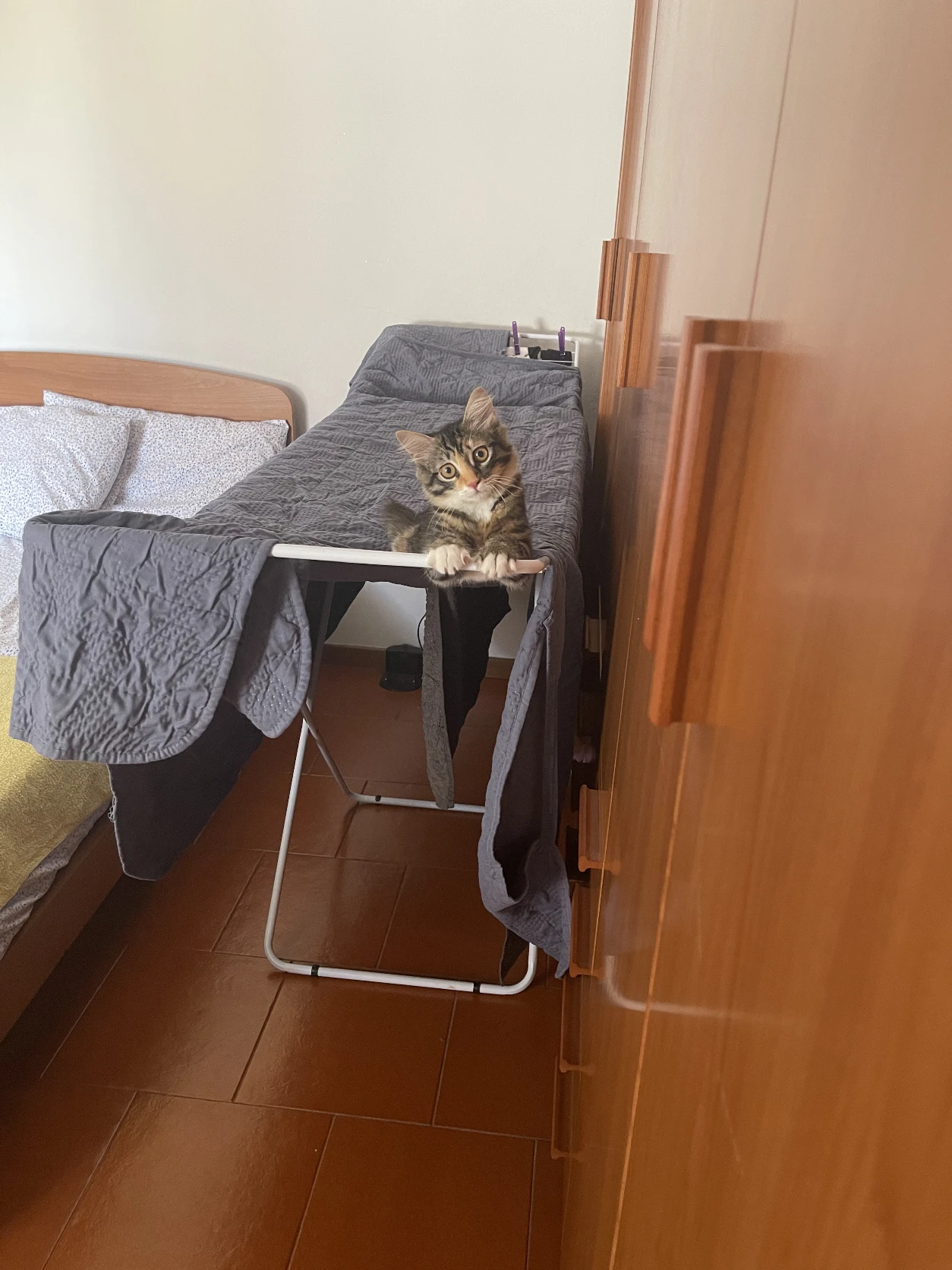 image-7