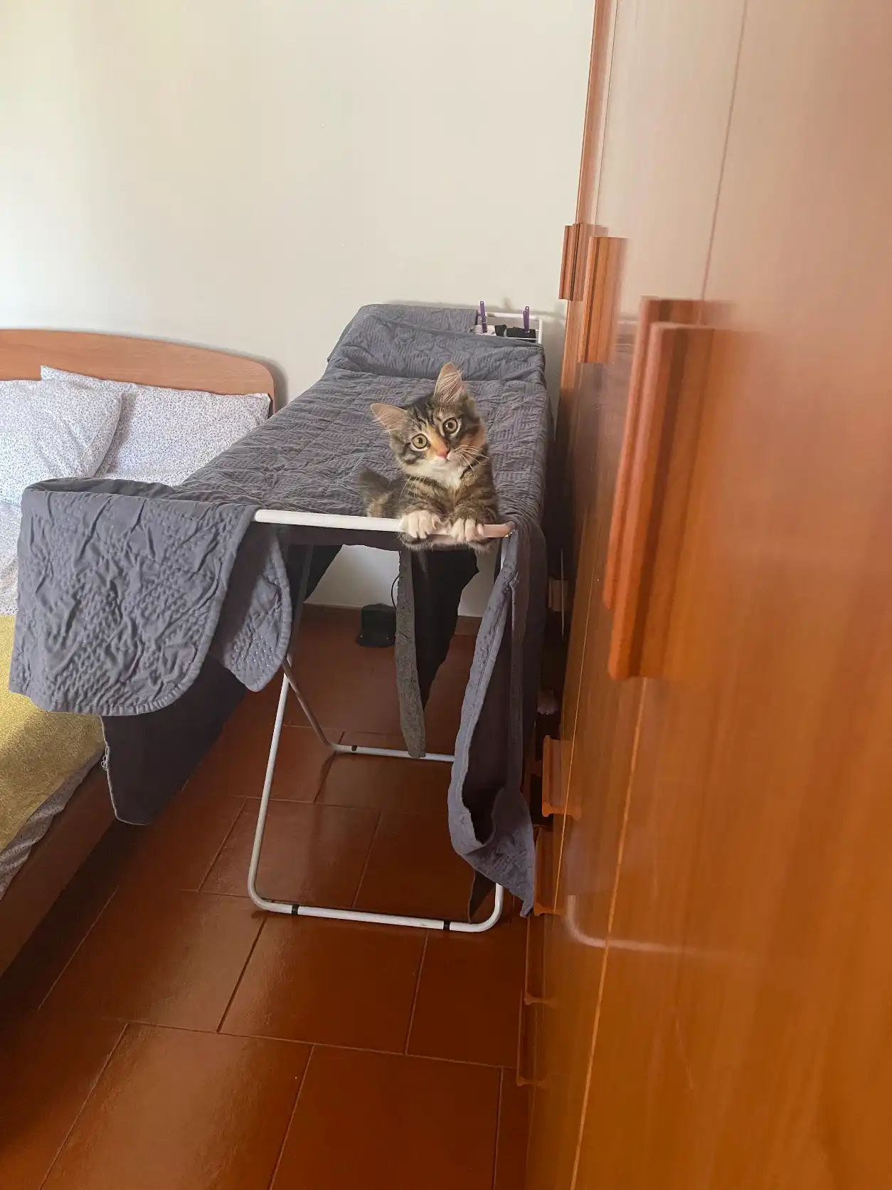 image-7