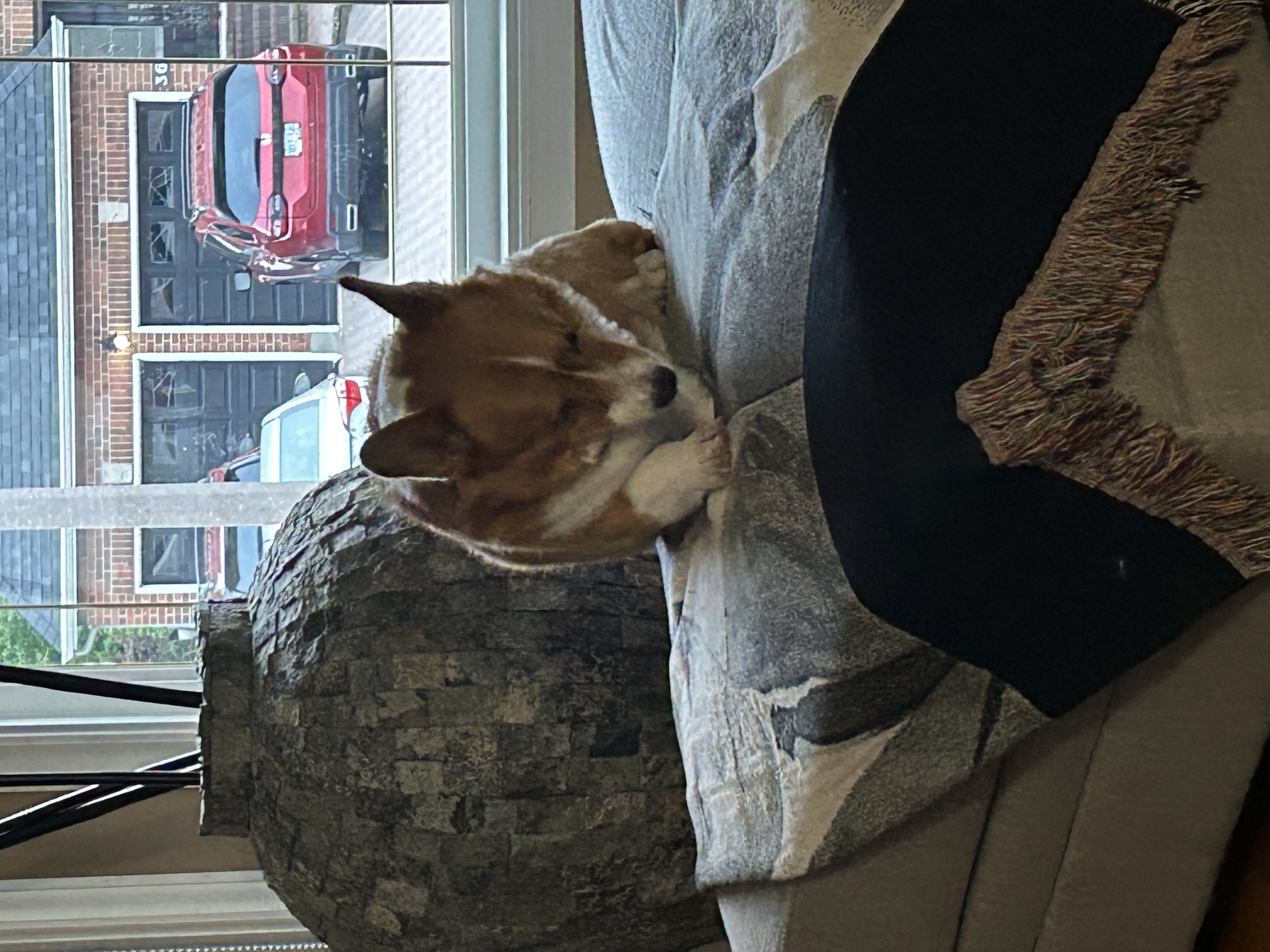 image-14