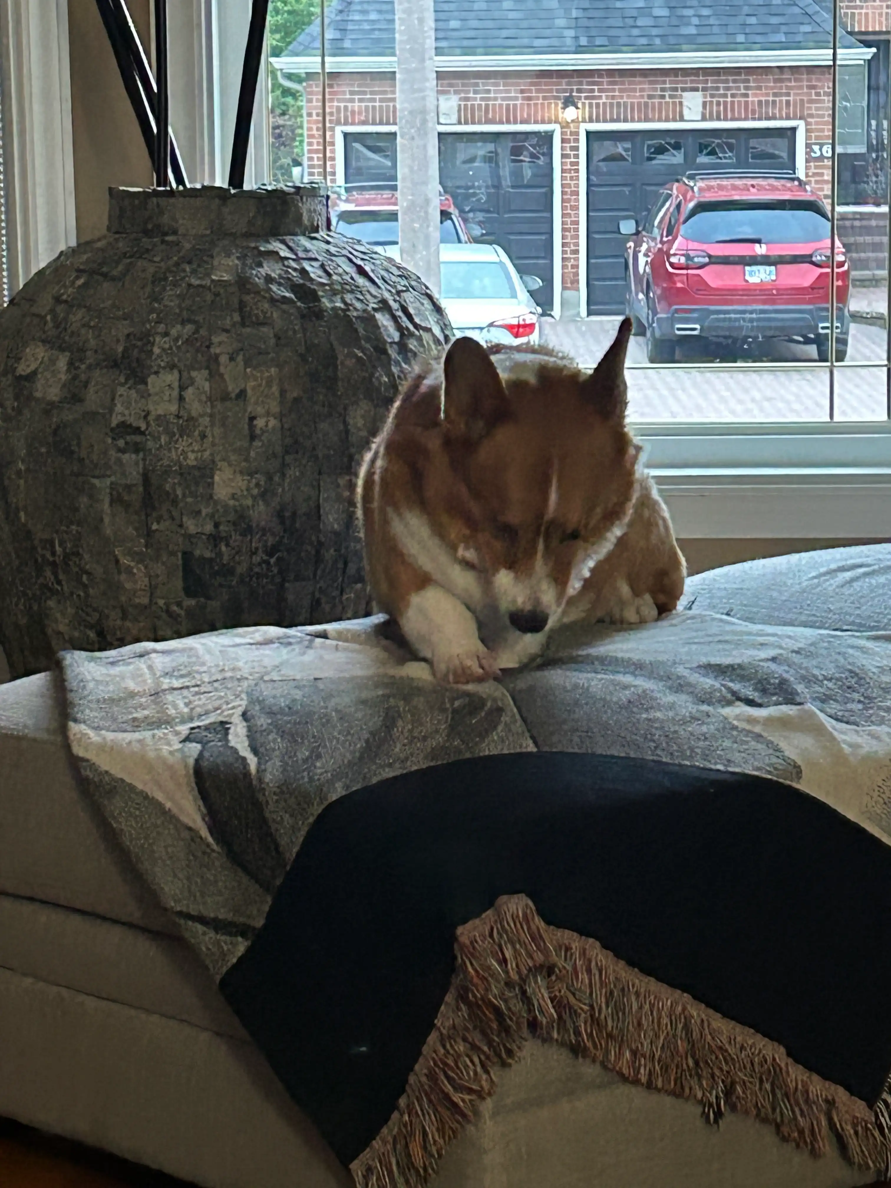 image-14