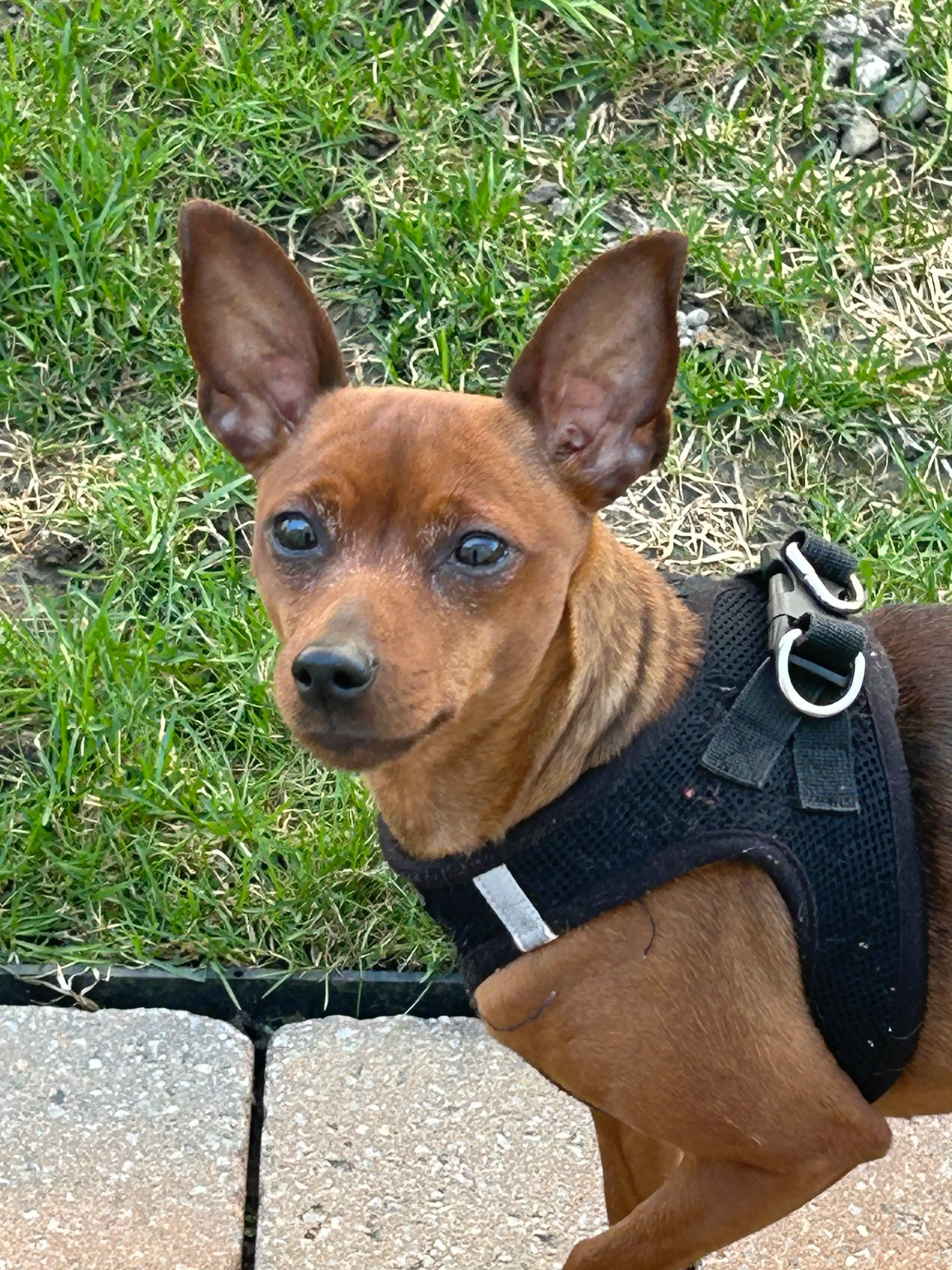 image-20