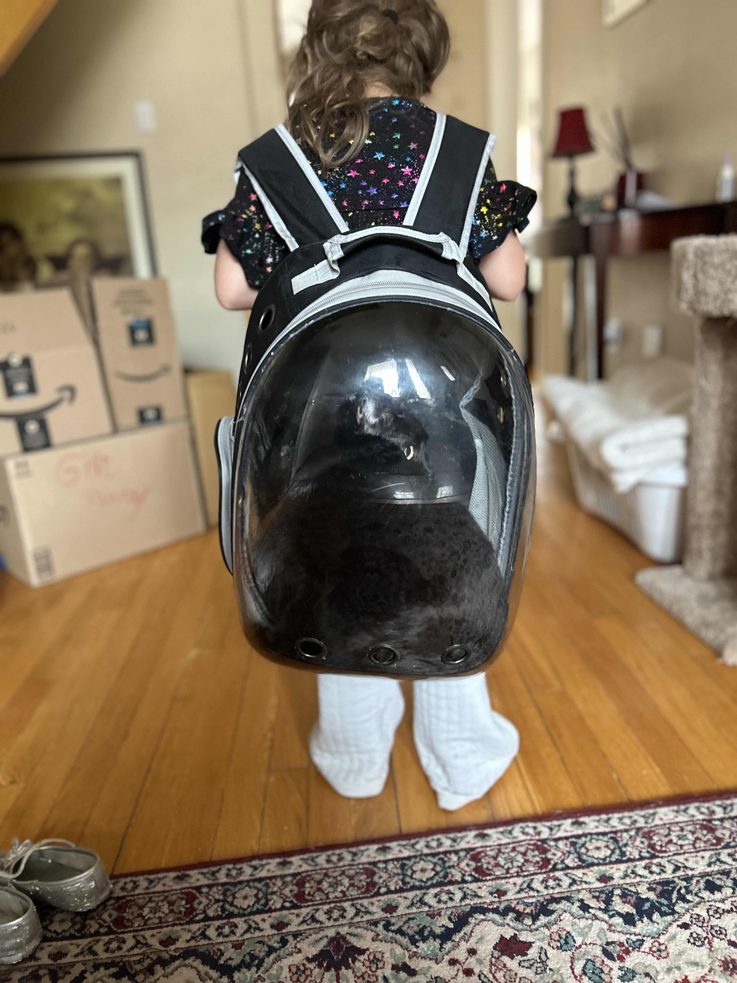 image-17