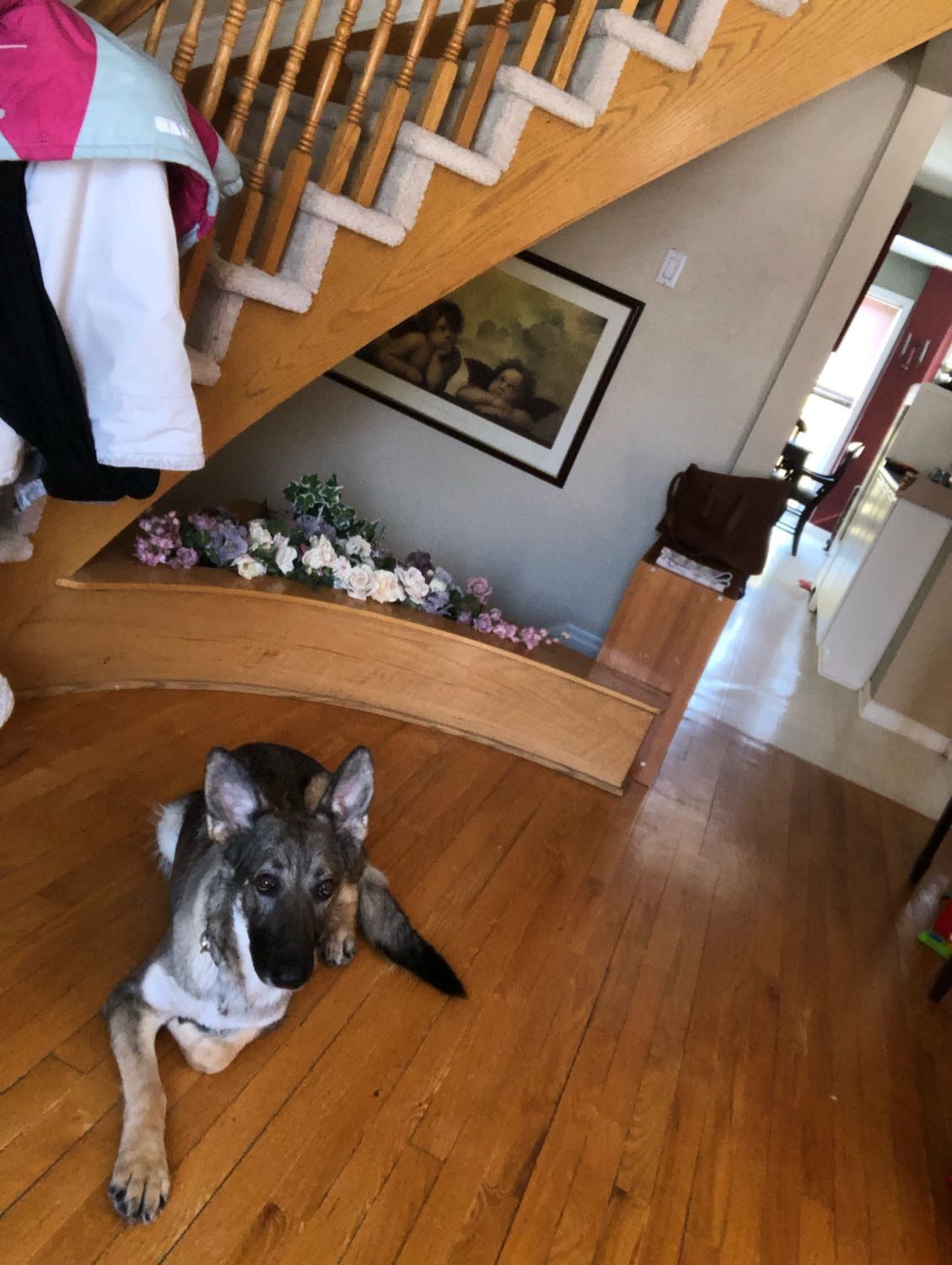 image-8