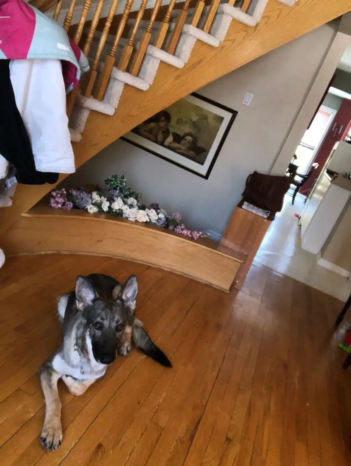 image-8