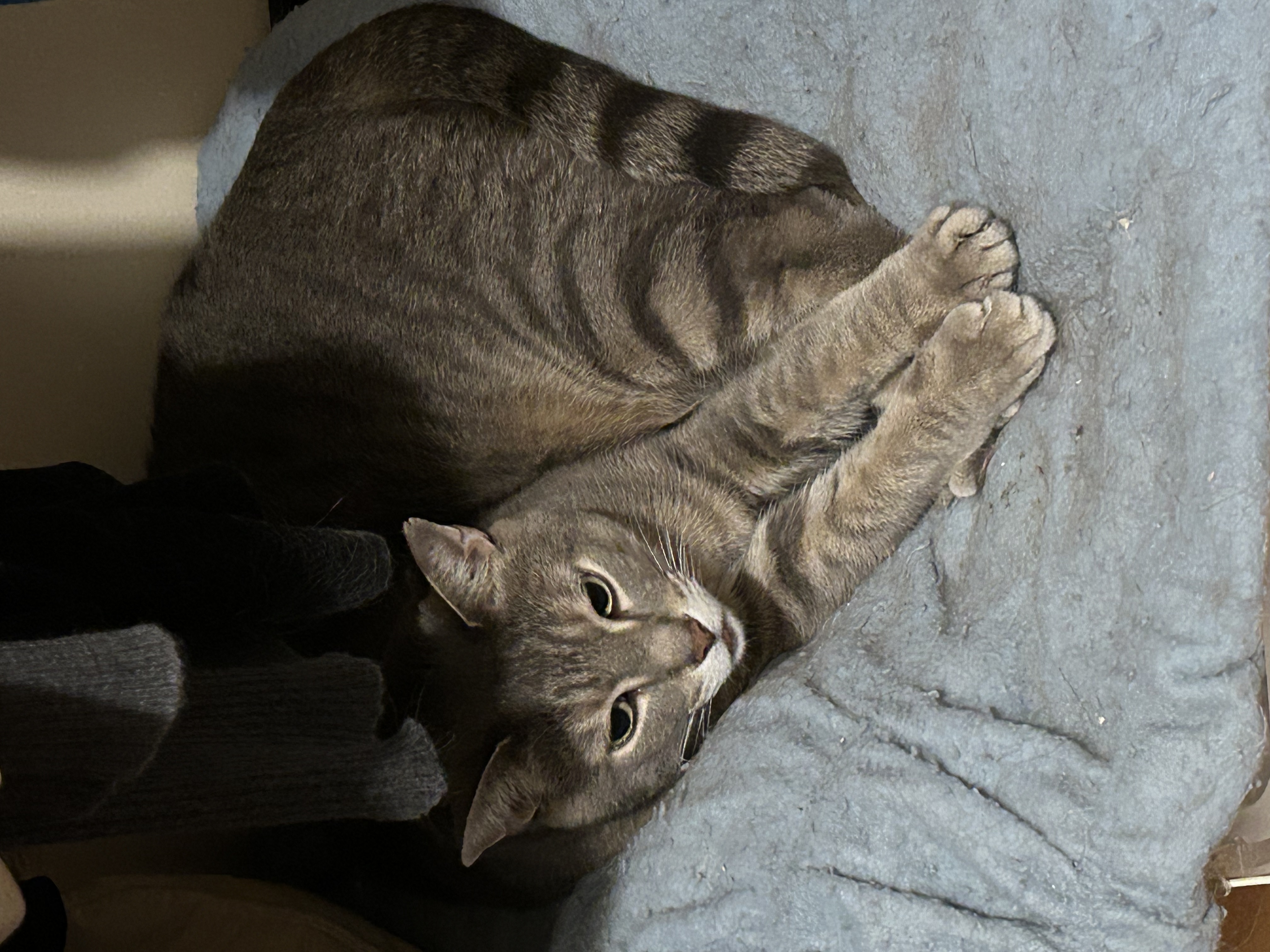 image-9