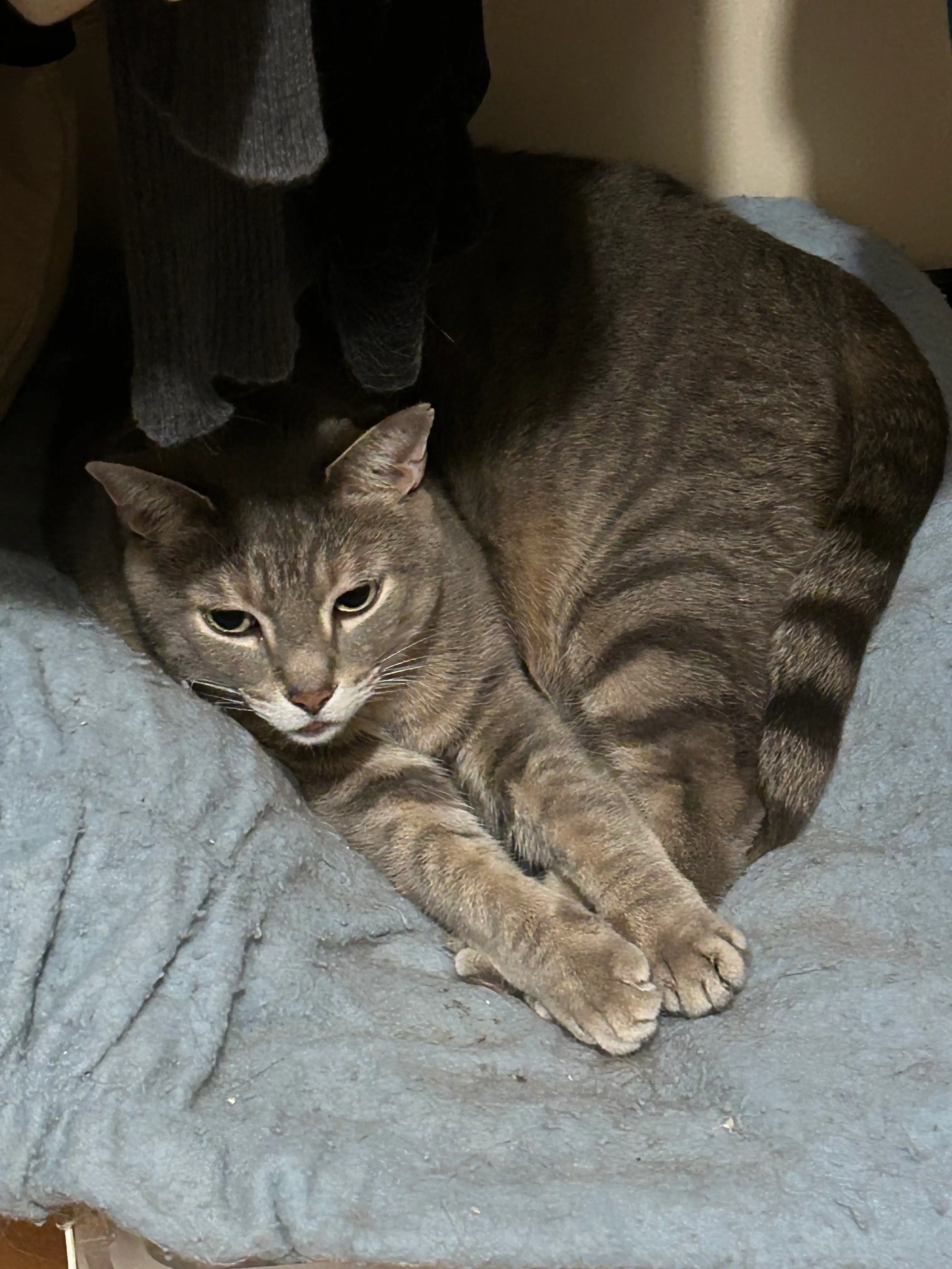 image-9