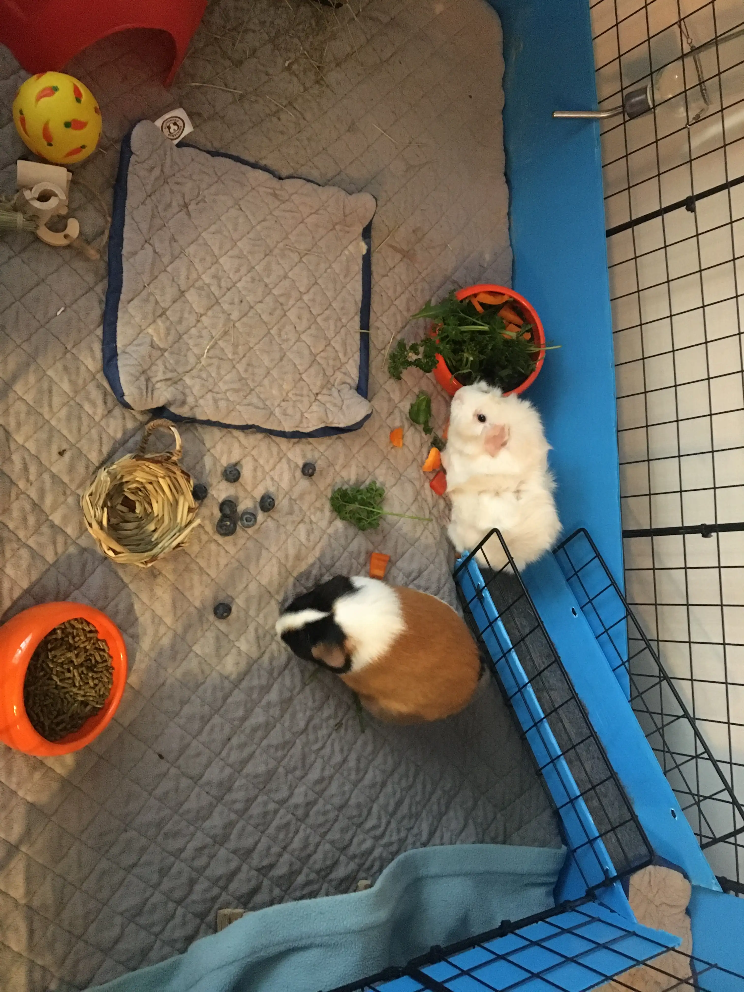 image-14