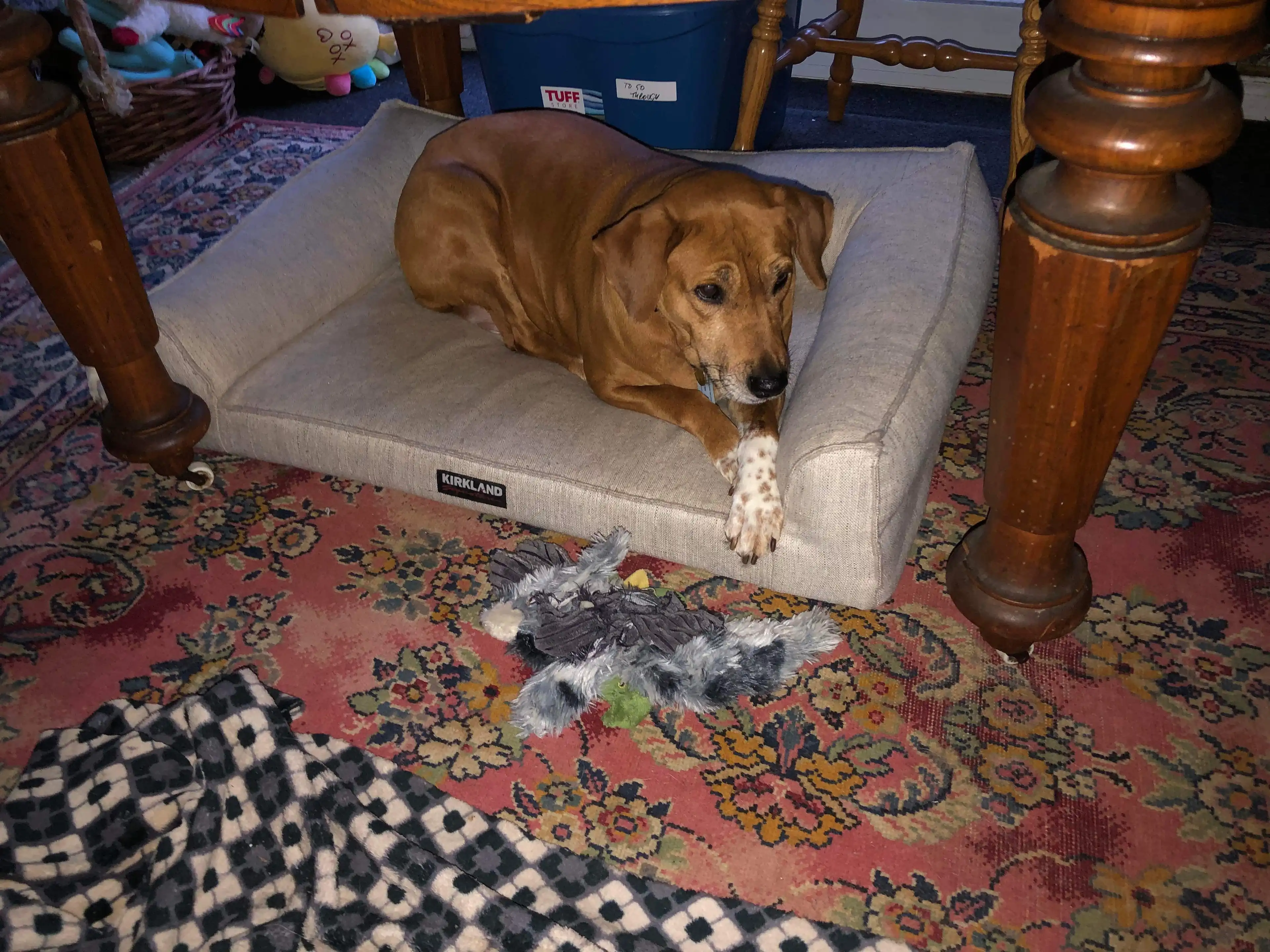image-8